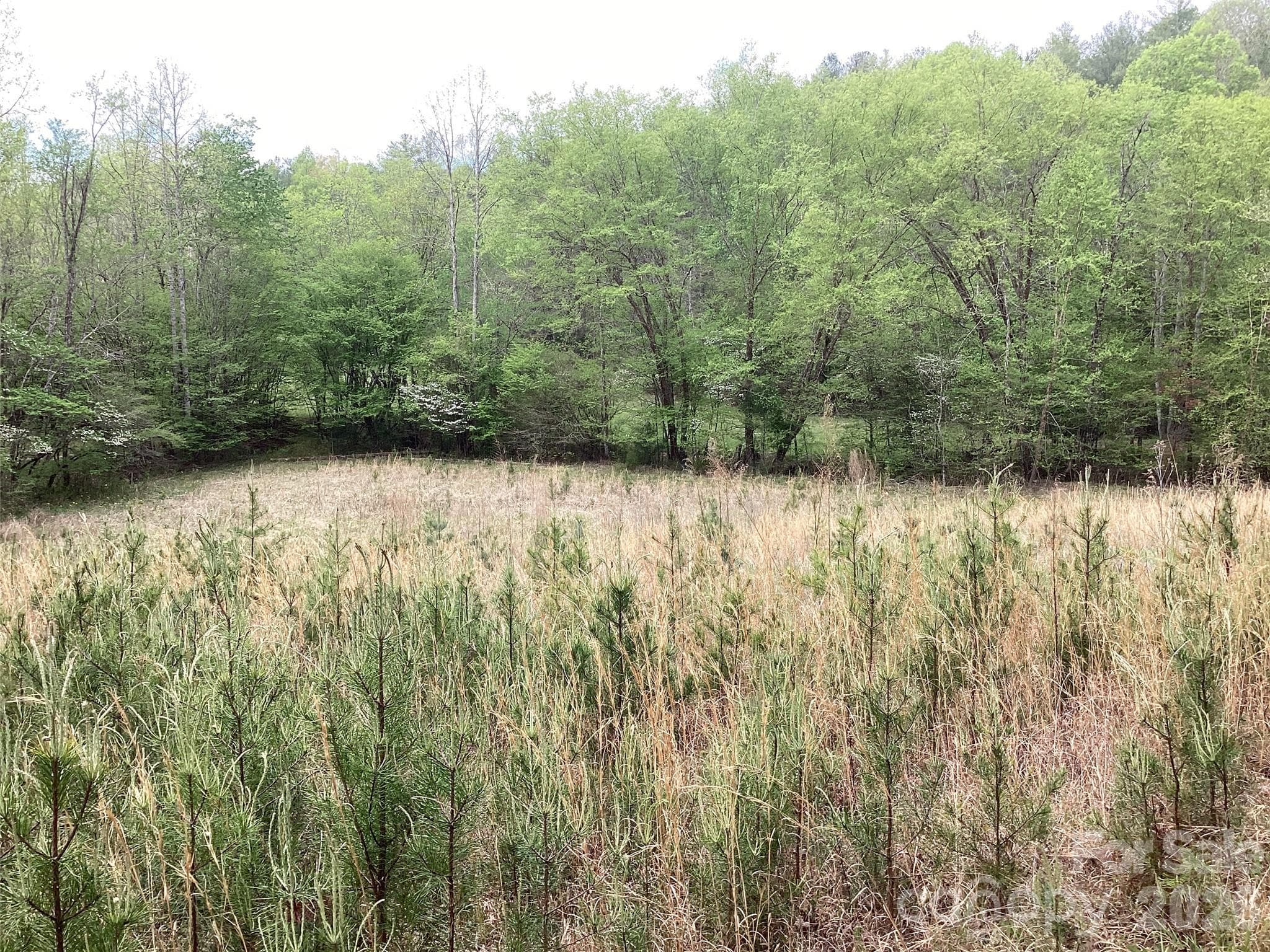 Acreage at Acreage, Morganton, photo 21 of 35