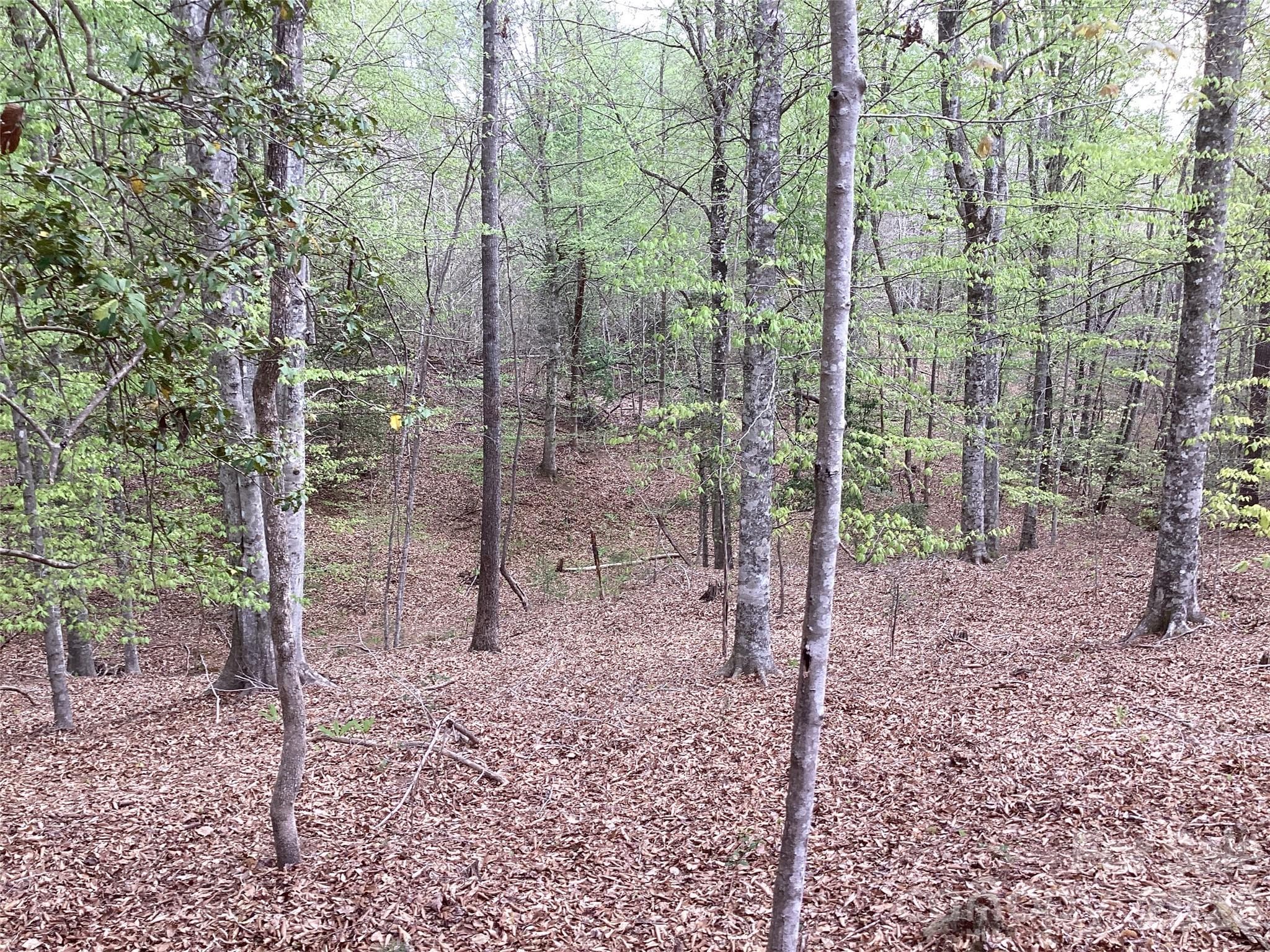 Acreage at Acreage, Morganton, photo 31 of 35