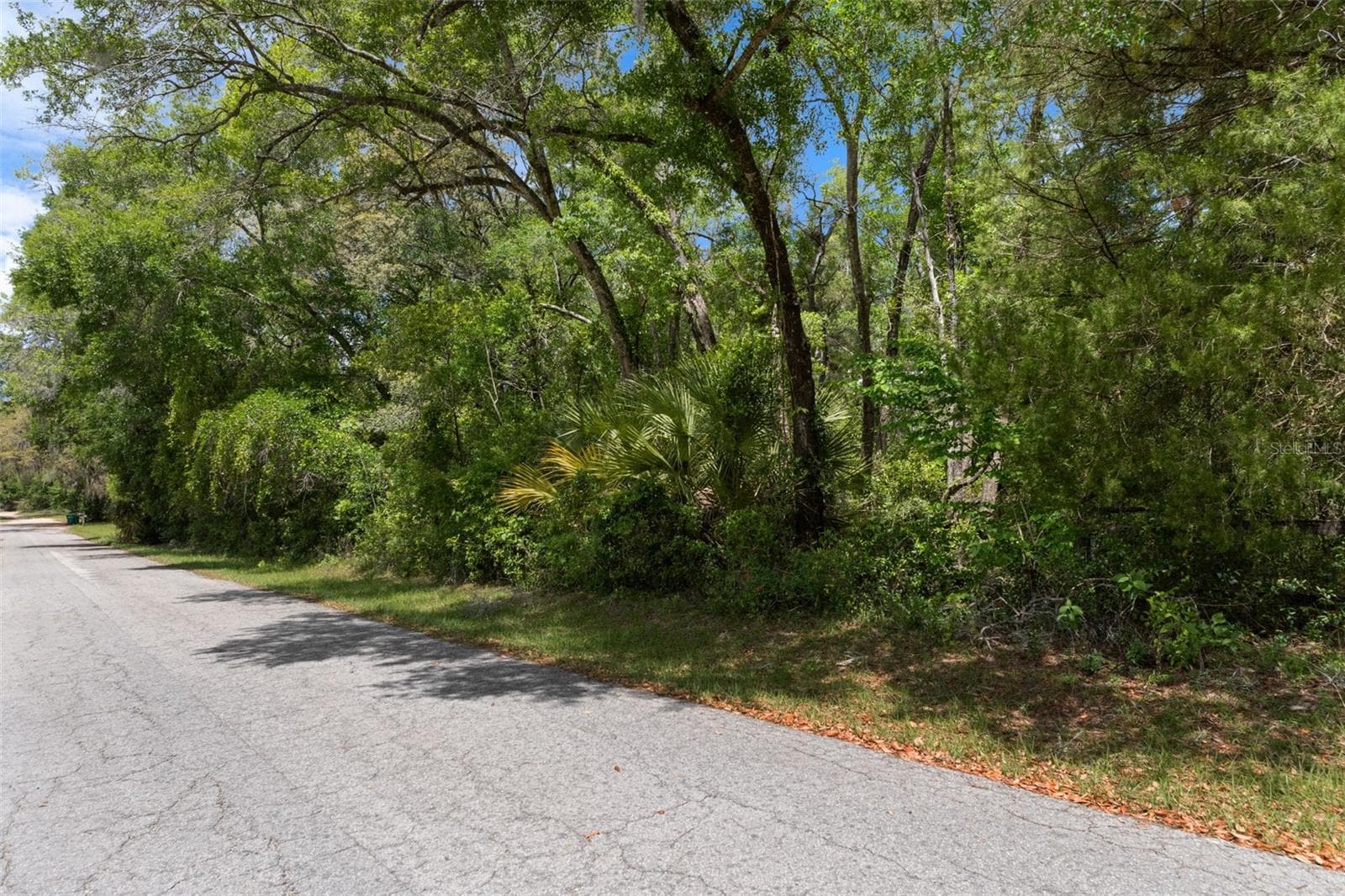 Land at 2322 W MAIN ST, INVERNESS, photo 9 of 12
