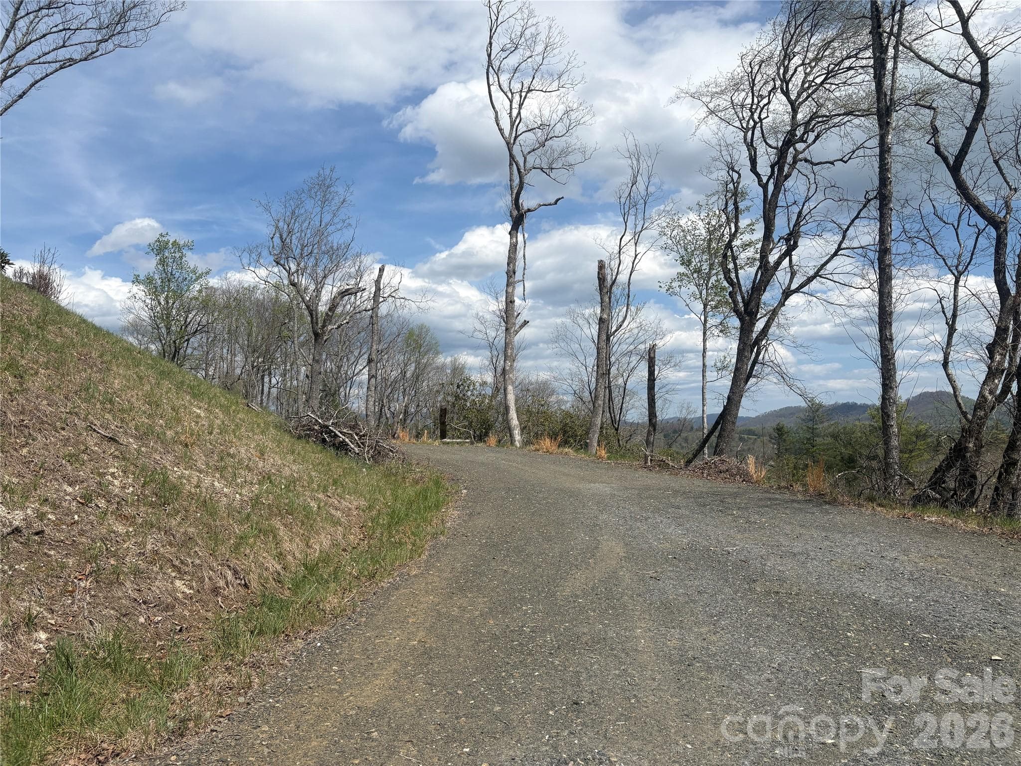 Bottom access - TBD Swiss Pine Lake Drive, Spruce Pine