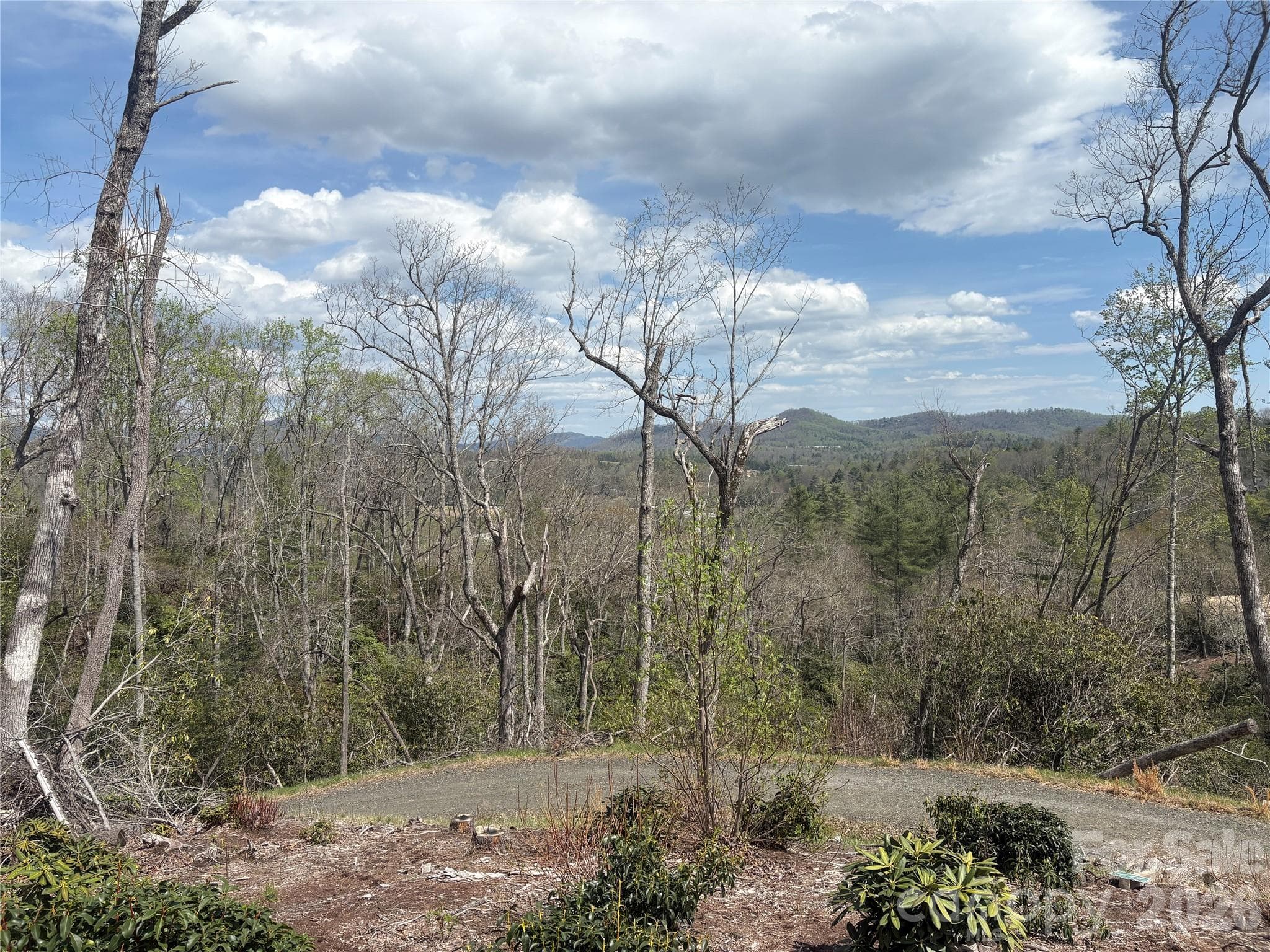 Views of bottom of lot - TBD Swiss Pine Lake Drive, Spruce Pine