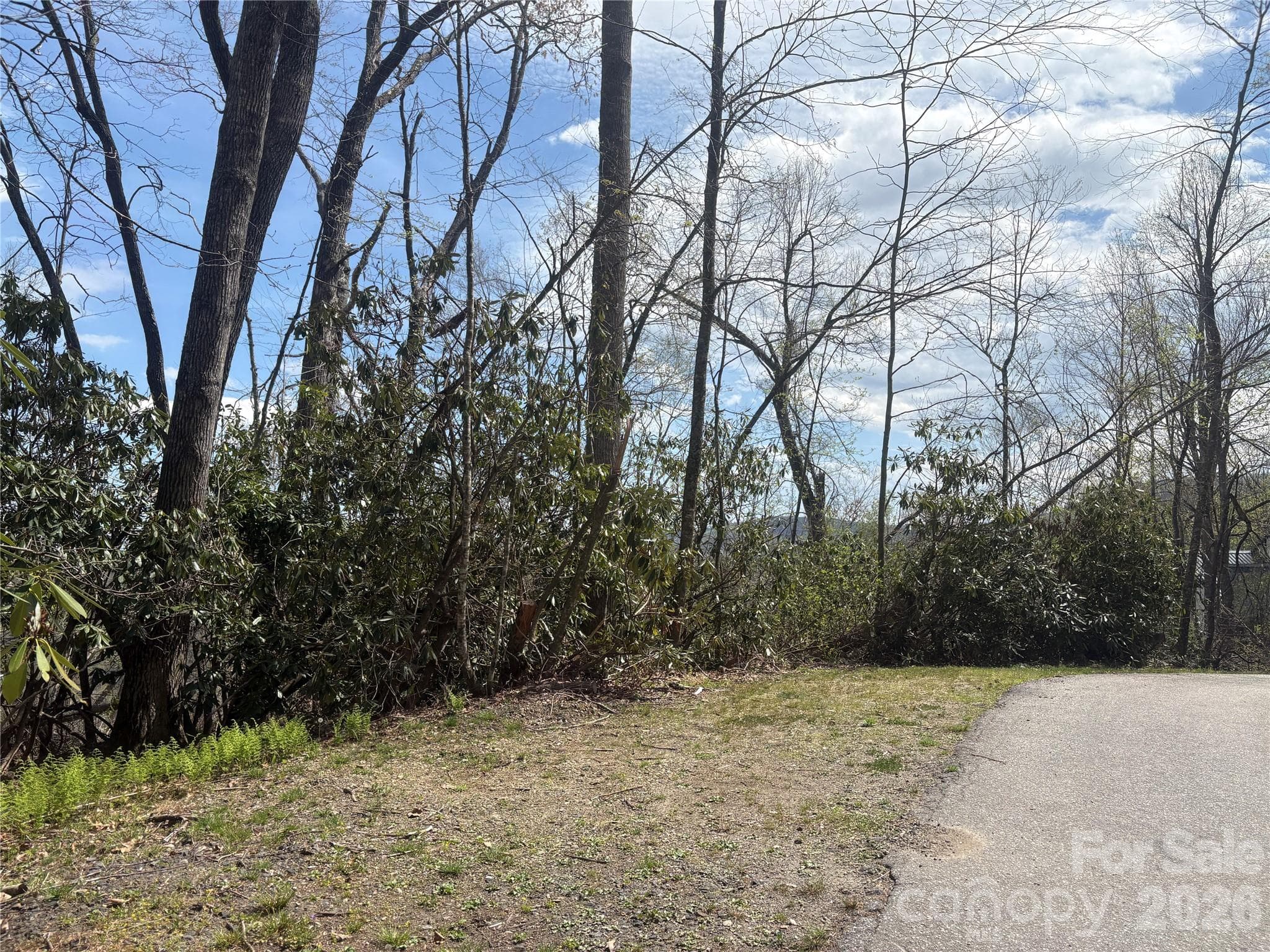 Top access road - TBD Swiss Pine Lake Drive, Spruce Pine