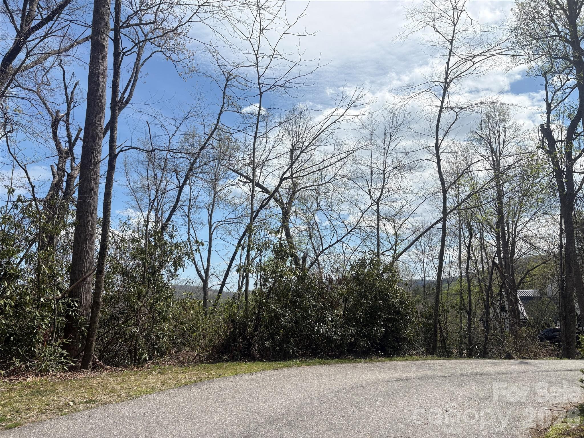 Top access road - TBD Swiss Pine Lake Drive, Spruce Pine