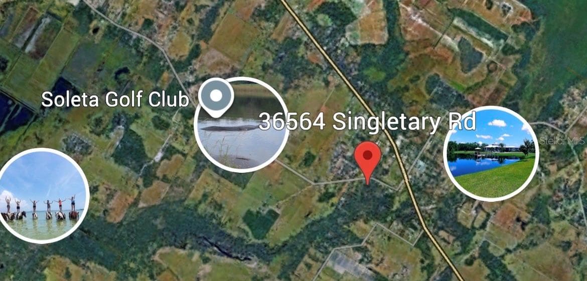 36564 SINGLETARY RD