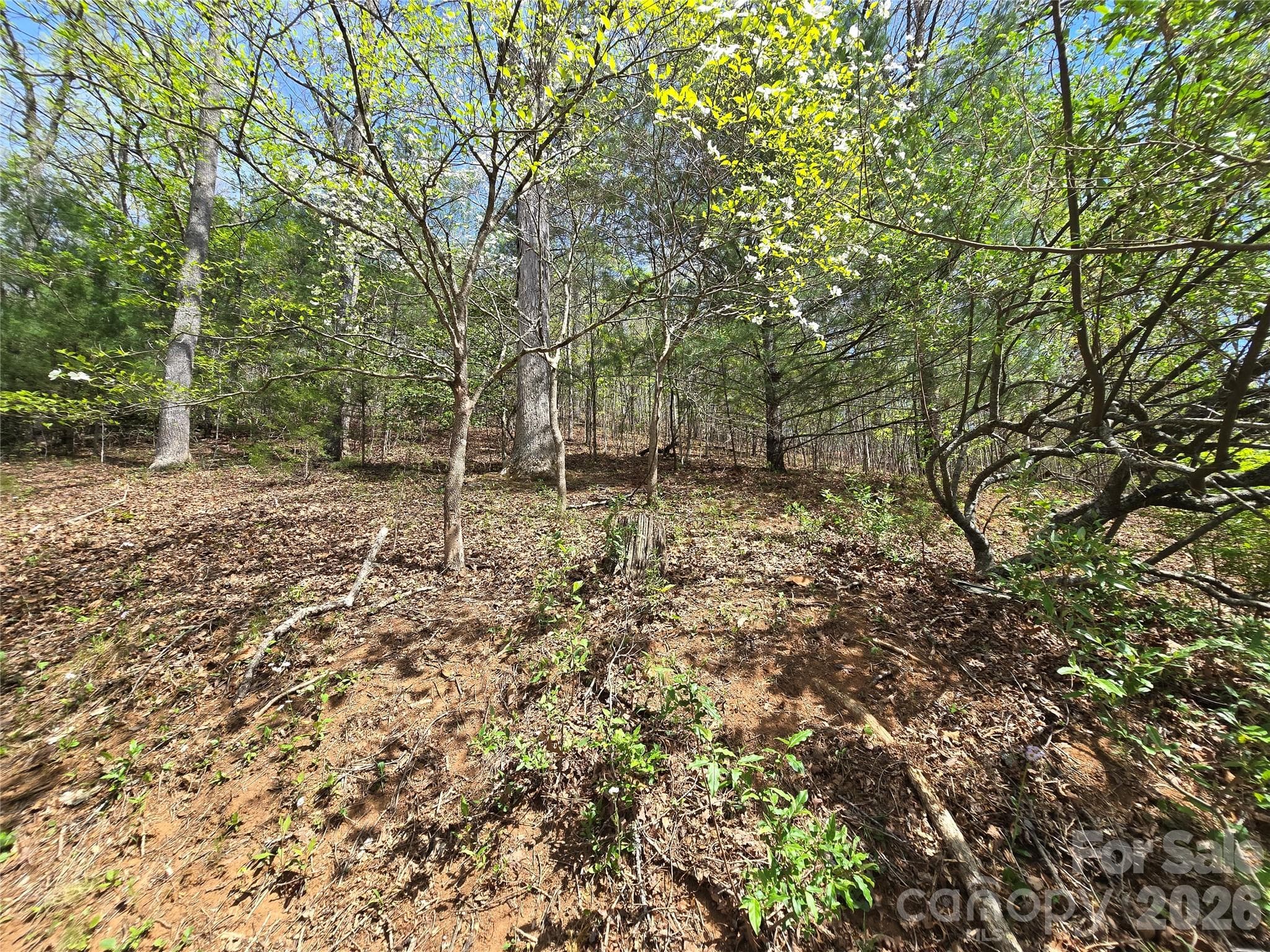 Lot at 0 WINDING WAY Drive, Franklin, photo 2 of 14