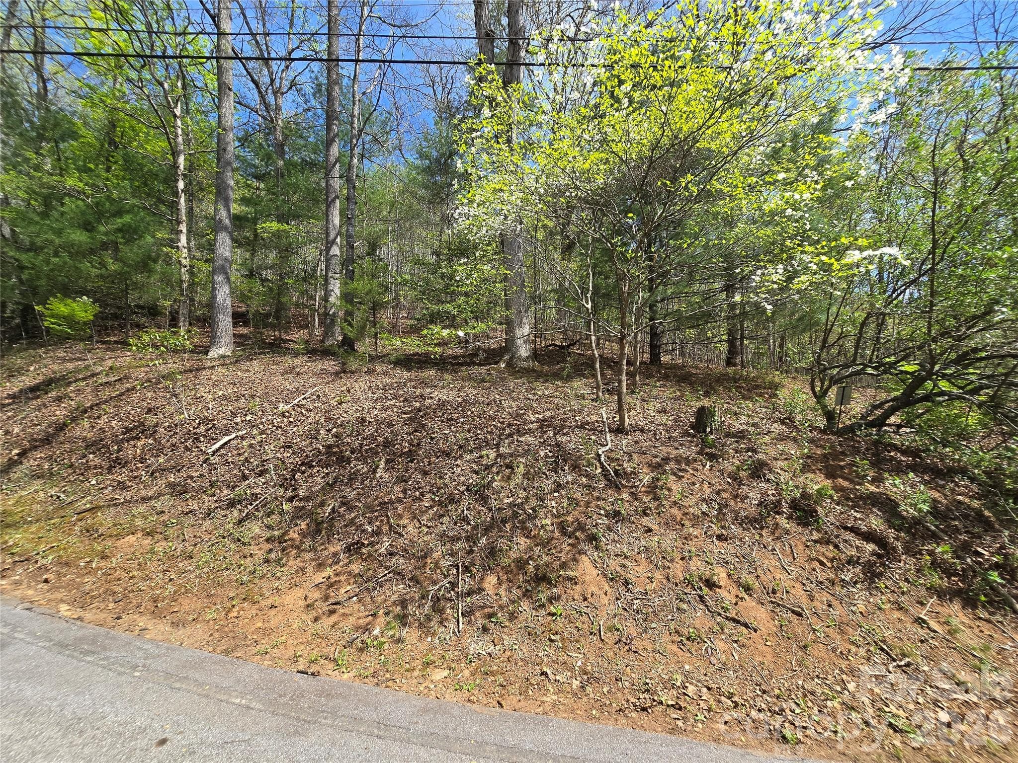 Lot at 0 WINDING WAY Drive, Franklin, photo 4 of 14
