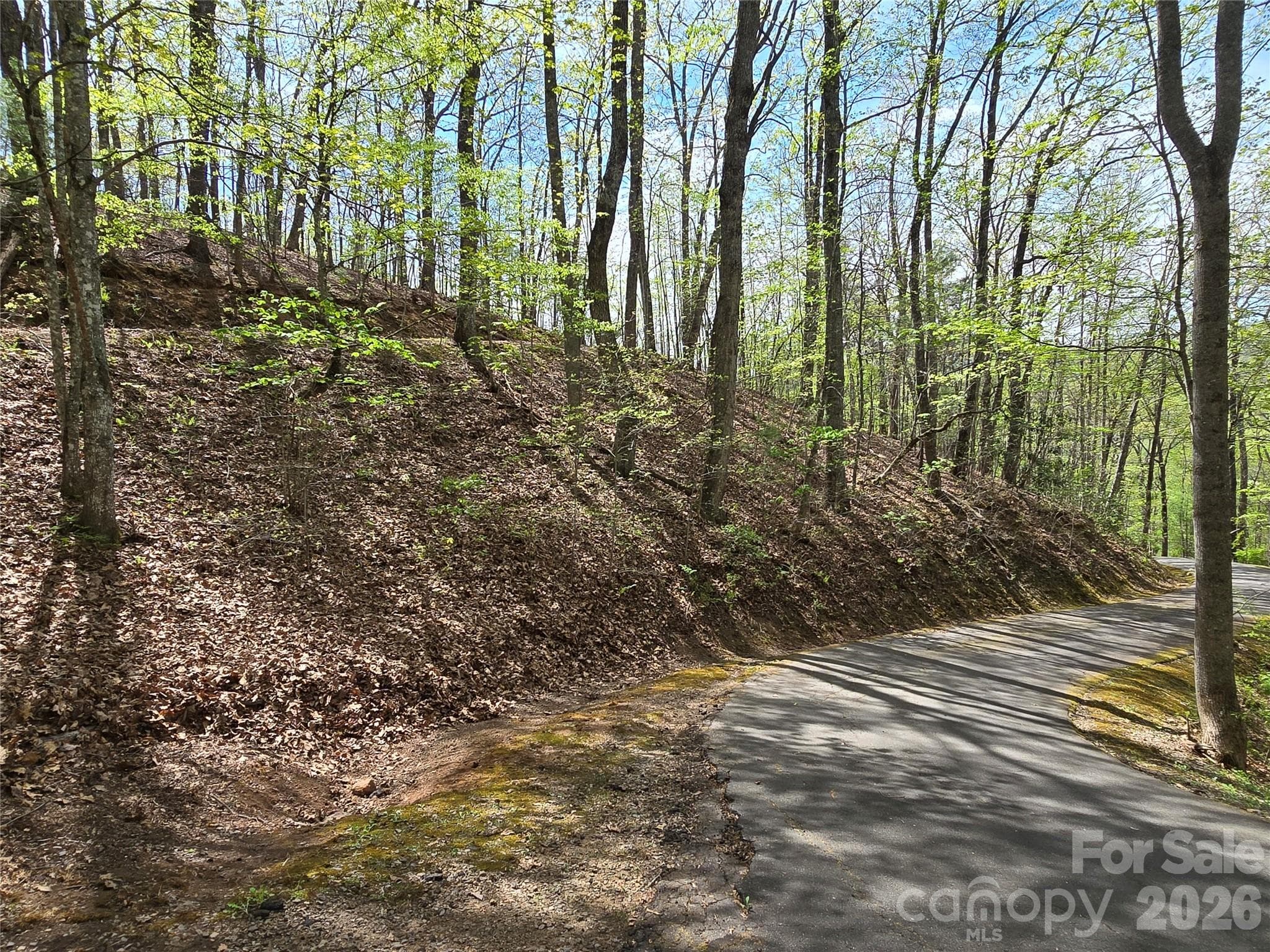 Lot at 0 WINDING WAY Drive, Franklin, photo 5 of 14