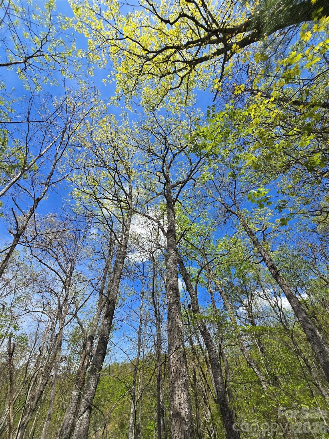 Lot at 0 WINDING WAY Drive, Franklin, photo 7 of 14