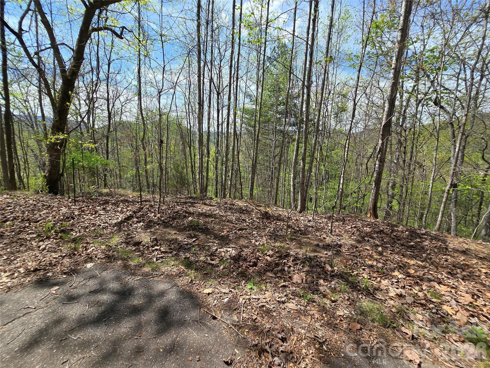 Lot at 0 WINDING WAY Drive, Franklin, photo 8 of 14