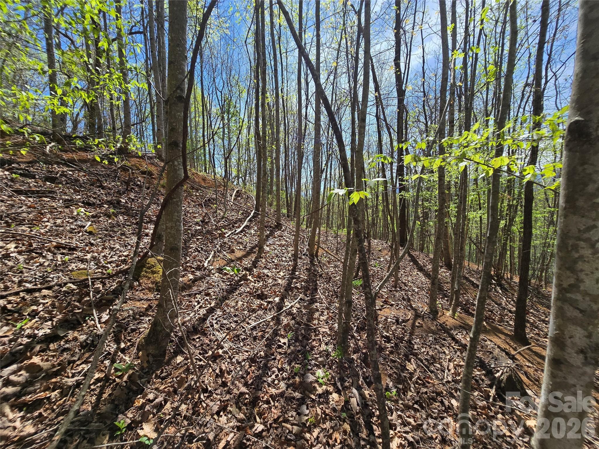Lot at 0 WINDING WAY Drive, Franklin, photo 9 of 14