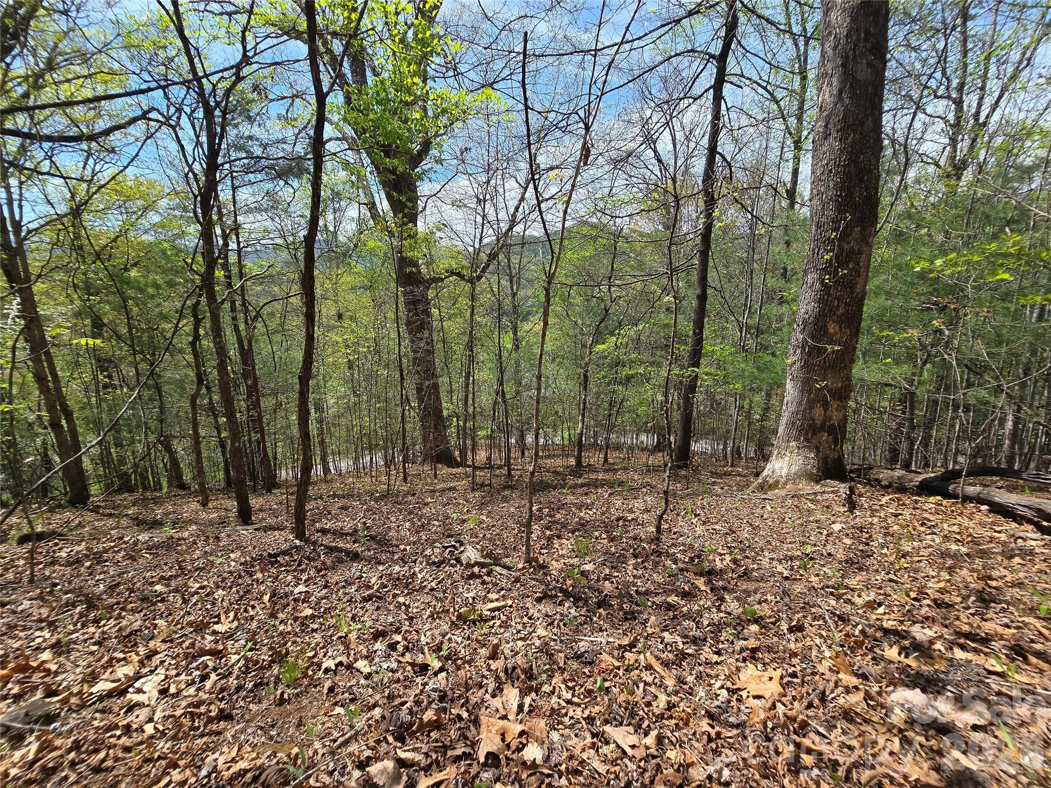 Lot at 0 WINDING WAY Drive, Franklin, photo 10 of 14
