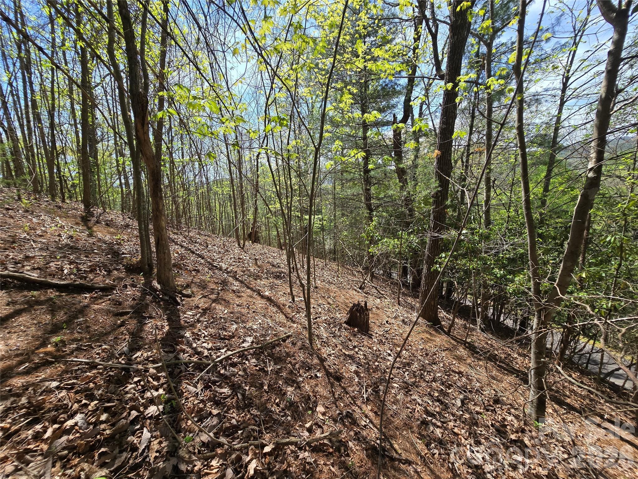 Lot at 0 WINDING WAY Drive, Franklin, photo 11 of 14