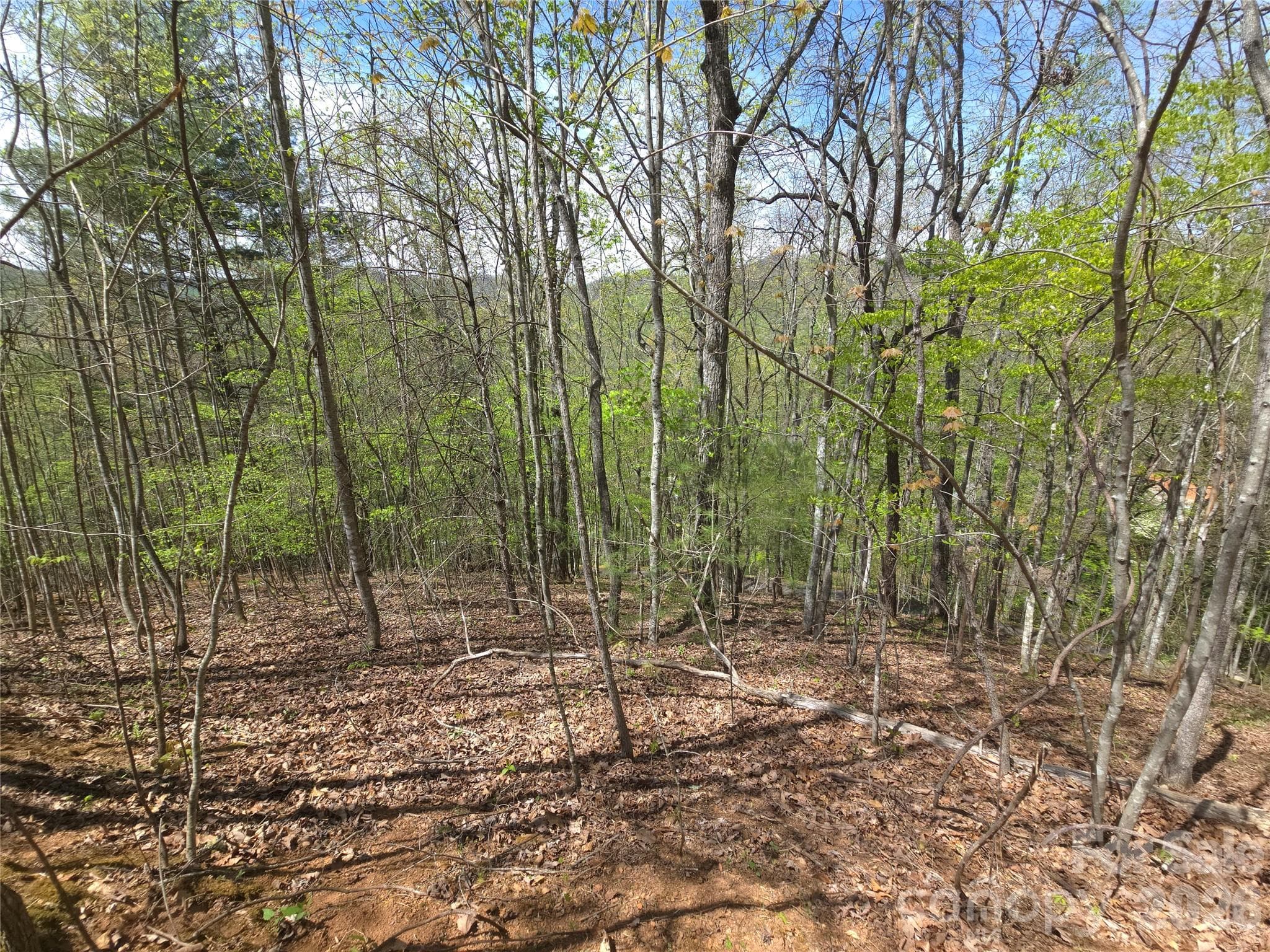Lot at 0 WINDING WAY Drive, Franklin, photo 13 of 14