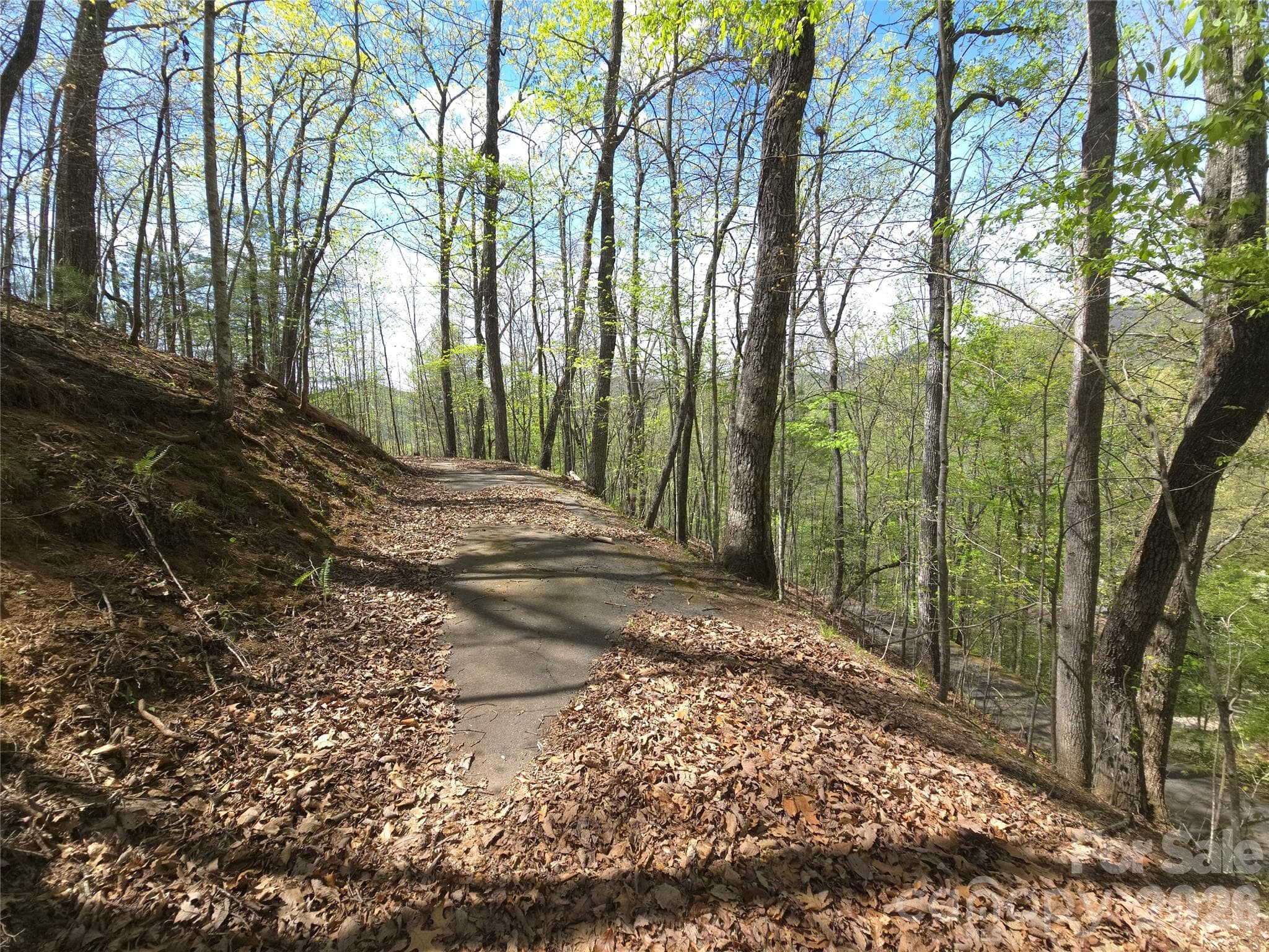 Lot at 0 WINDING WAY Drive, Franklin, photo 14 of 14