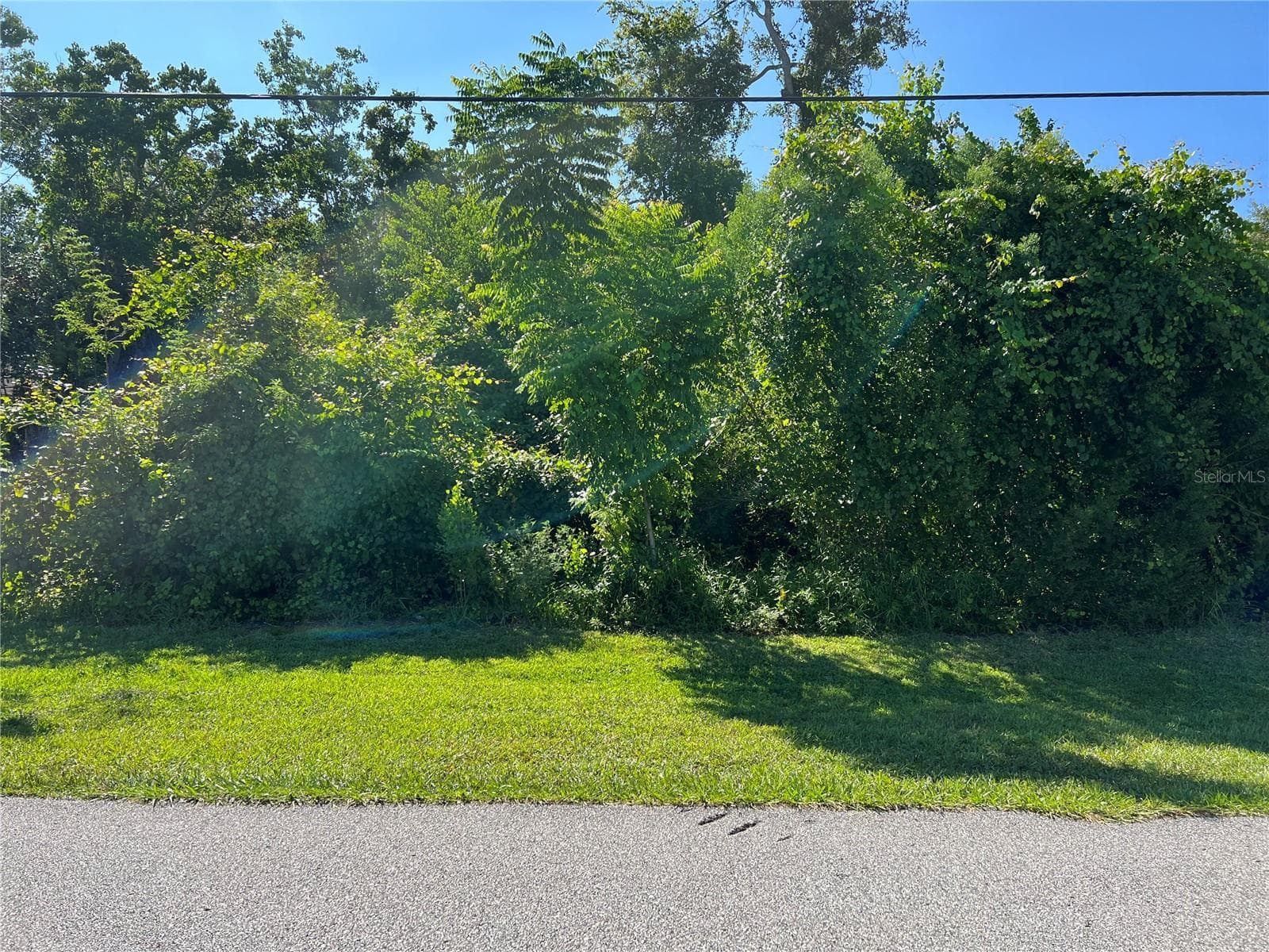 Land at 33 PEPPERDINE DR, PALM COAST, photo 5 of 6