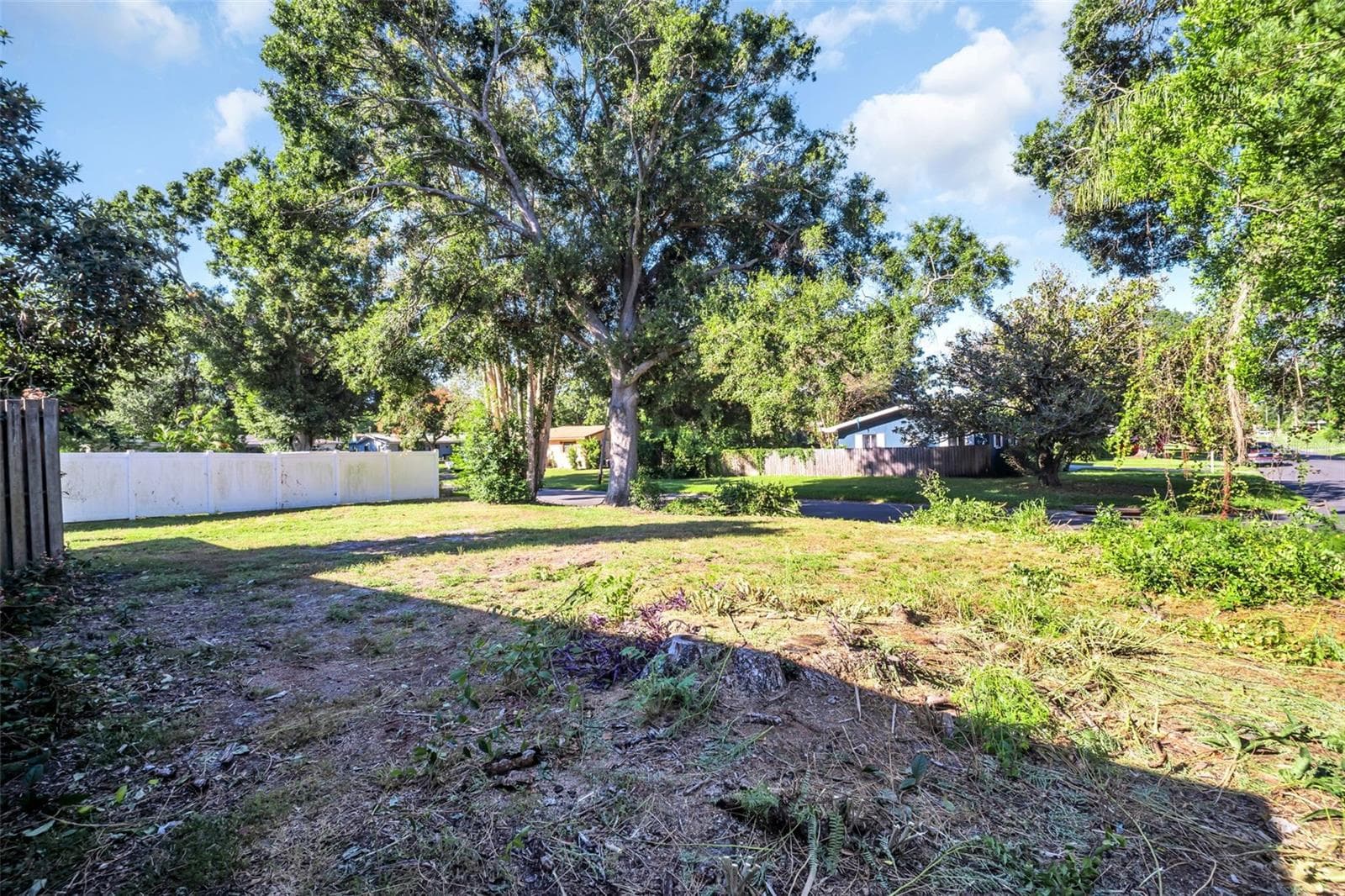 Back Yard - 1182 NORWOOD AVE, CLEARWATER