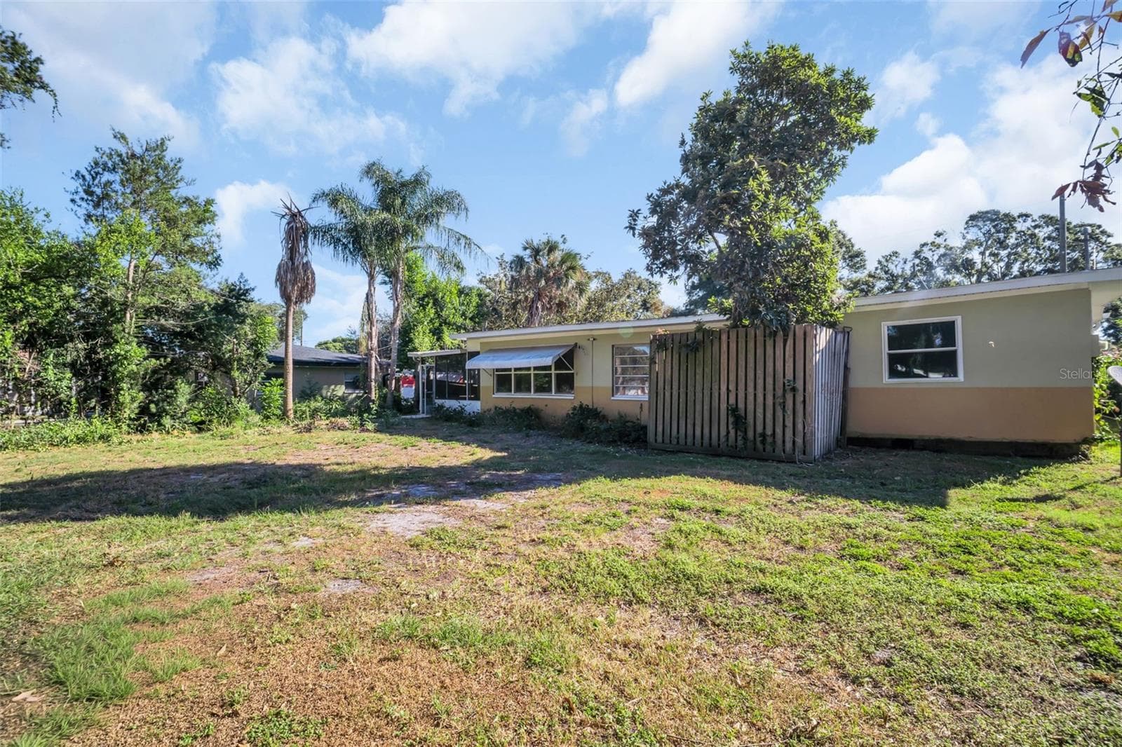 Back Yard - 1182 NORWOOD AVE, CLEARWATER
