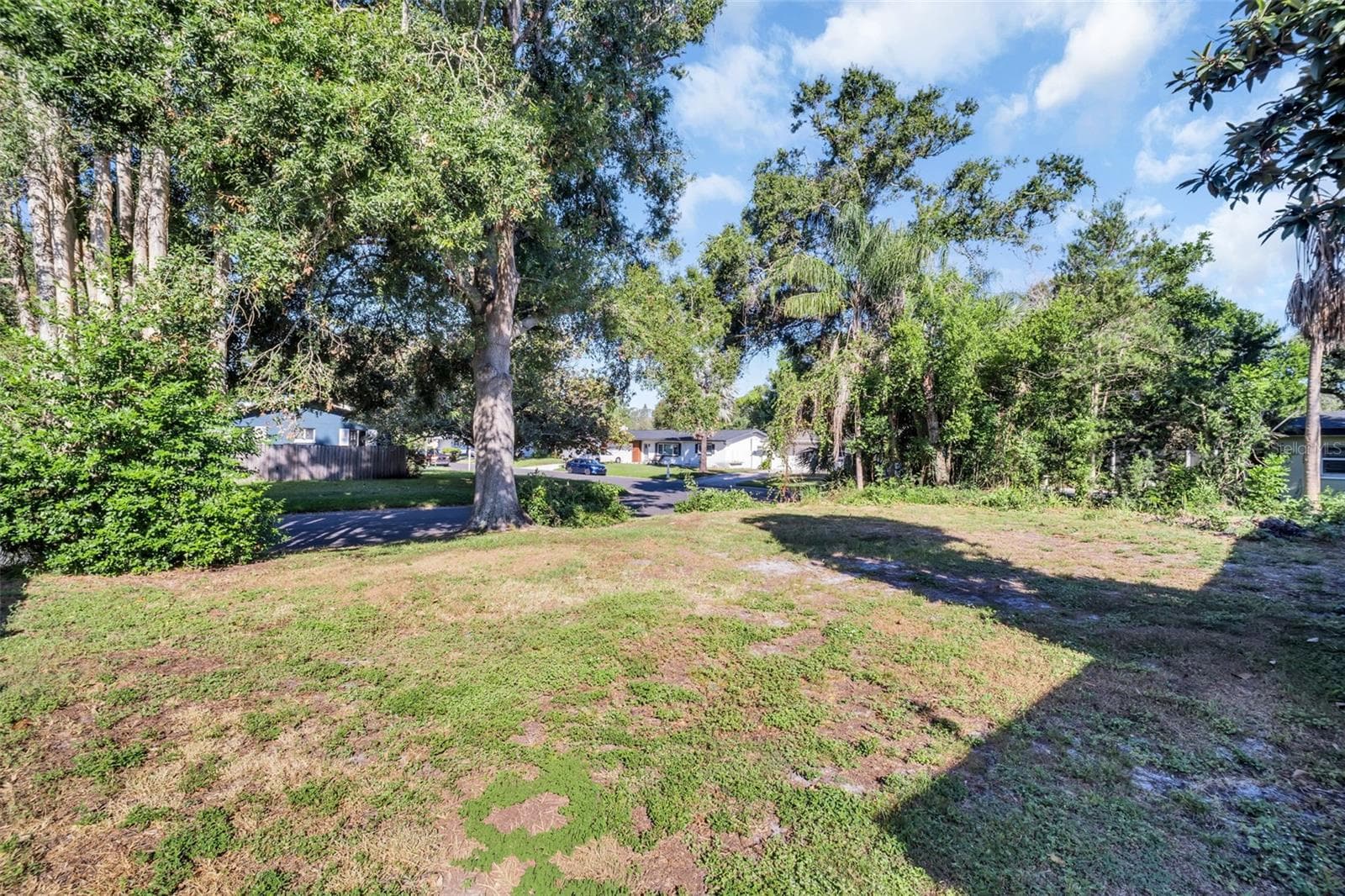 Back Yard - 1182 NORWOOD AVE, CLEARWATER