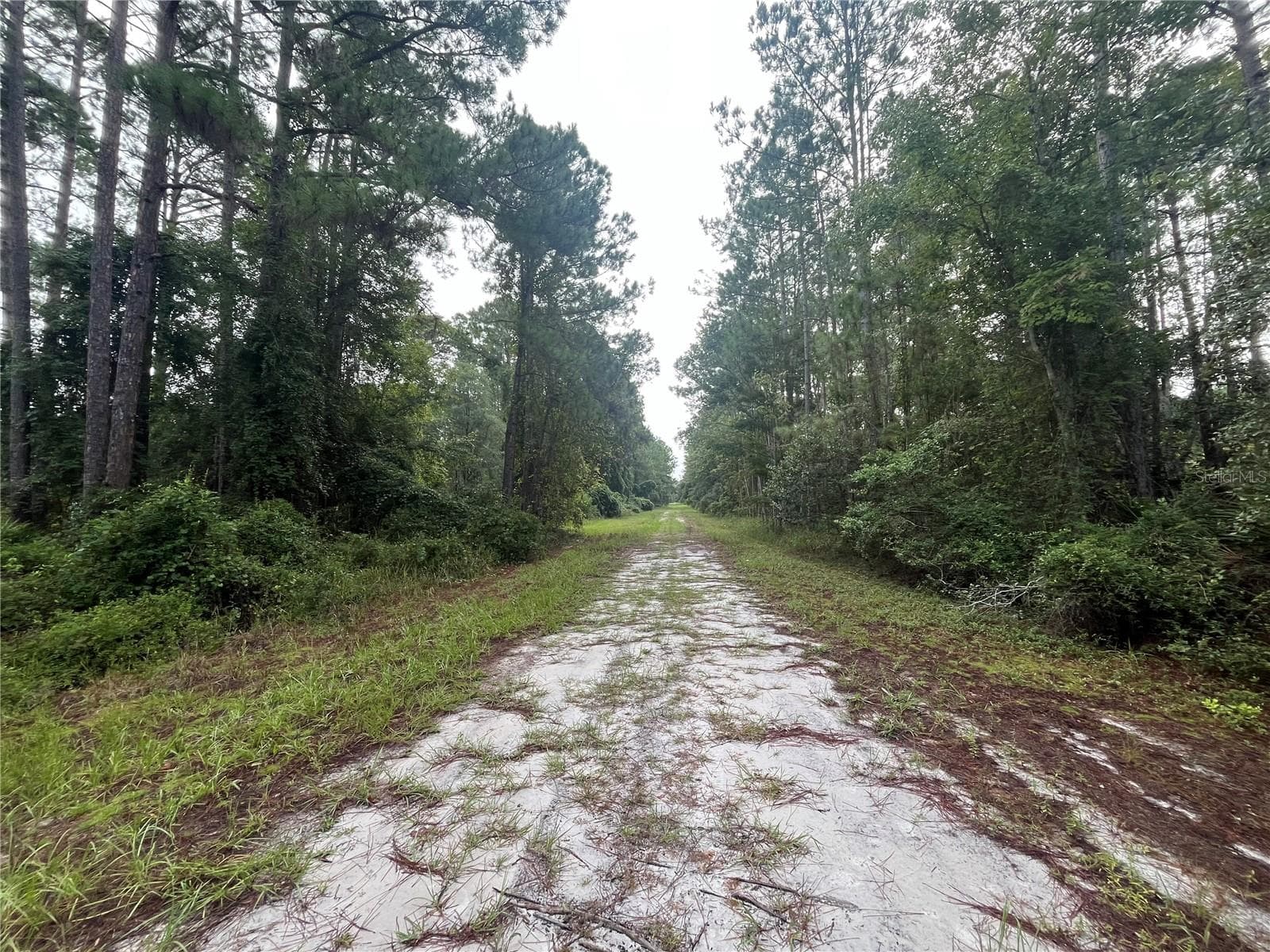 Land at 120 GARDENIA AVE, GEORGETOWN, photo 6 of 7