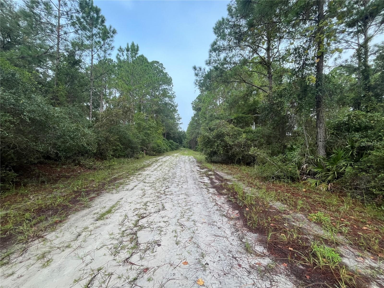 Land at 120 GARDENIA AVE, GEORGETOWN, photo 7 of 7
