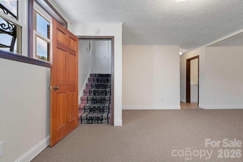 Basement Entrance - 1482 Island Ford Road, Brevard