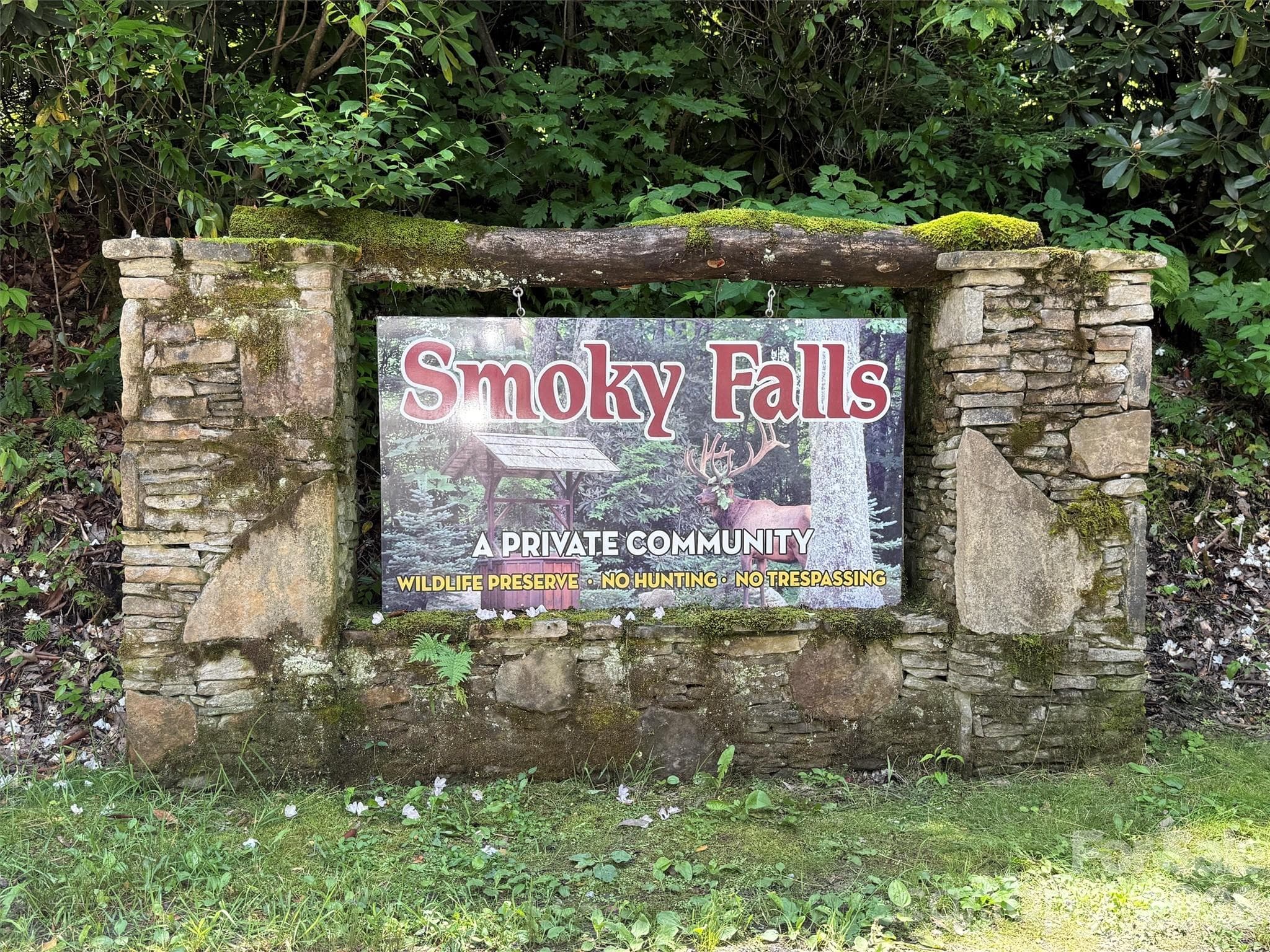 Lot at Maggie Valley, photo 2 of 13