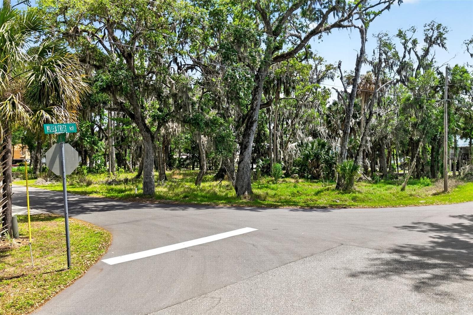 Land at 580 NW 14TH PL, CRYSTAL RIVER, photo 5 of 16