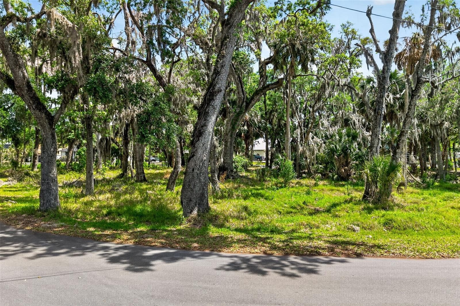 Land at 580 NW 14TH PL, CRYSTAL RIVER, photo 6 of 16