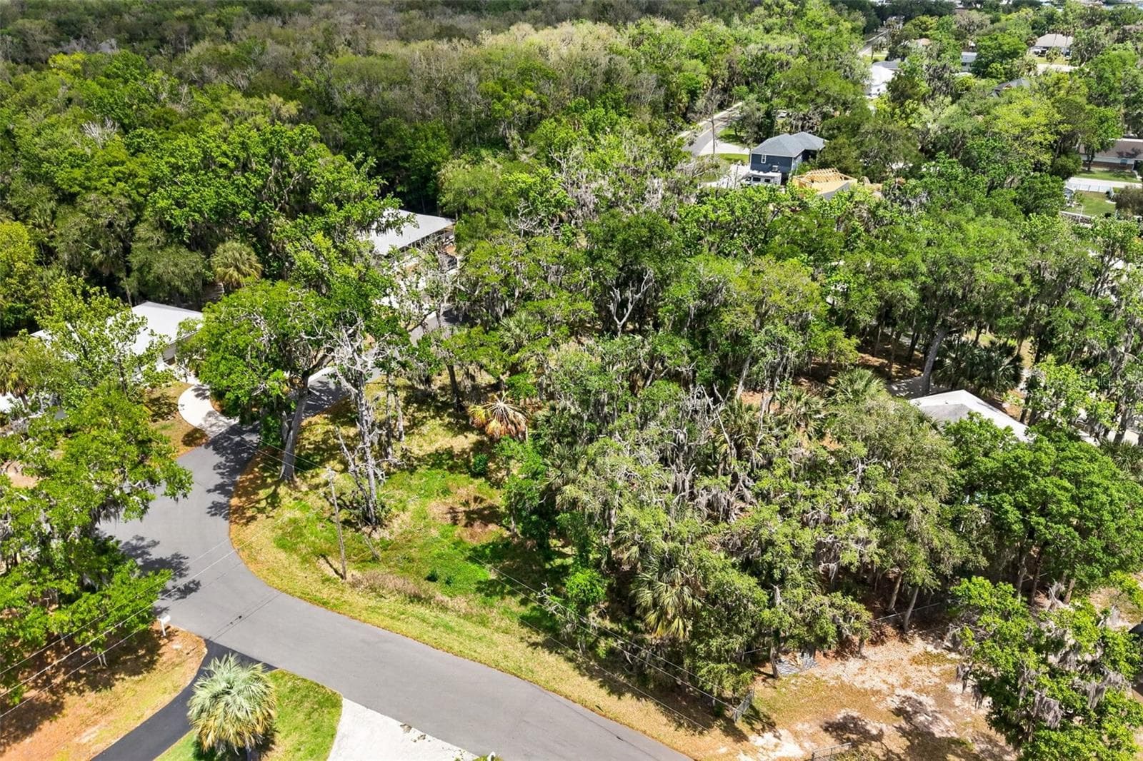 Land at 580 NW 14TH PL, CRYSTAL RIVER, photo 15 of 16