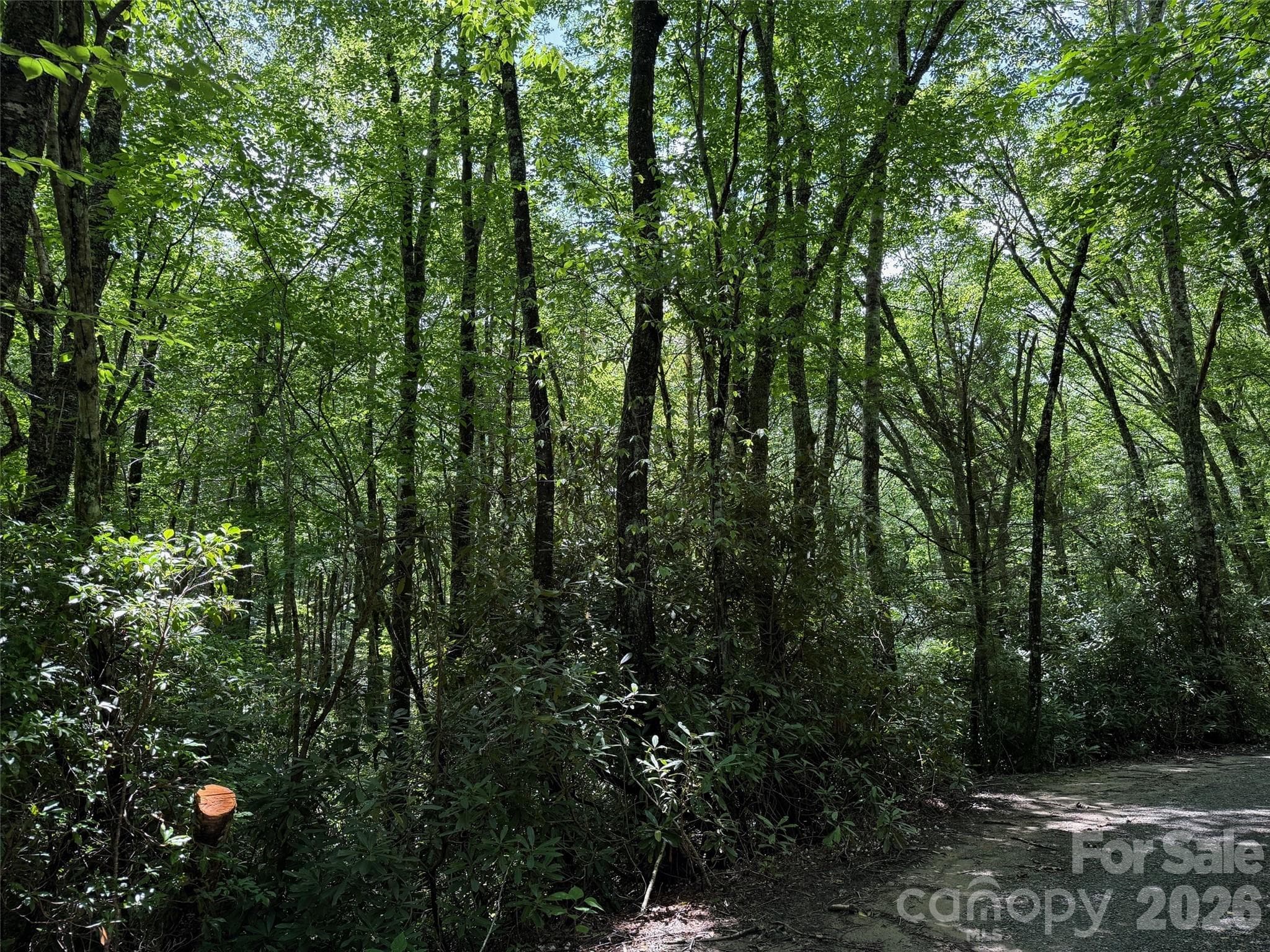 Lot at Maggie Valley, photo 10 of 16