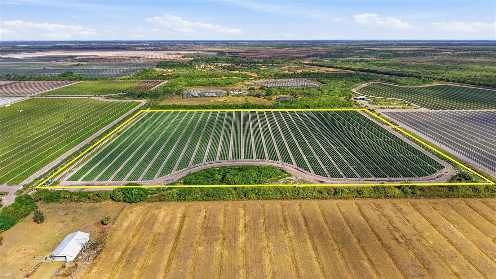 Agriculture at 6150 PRINGLE LN, IMMOKALEE, photo 13 of 27