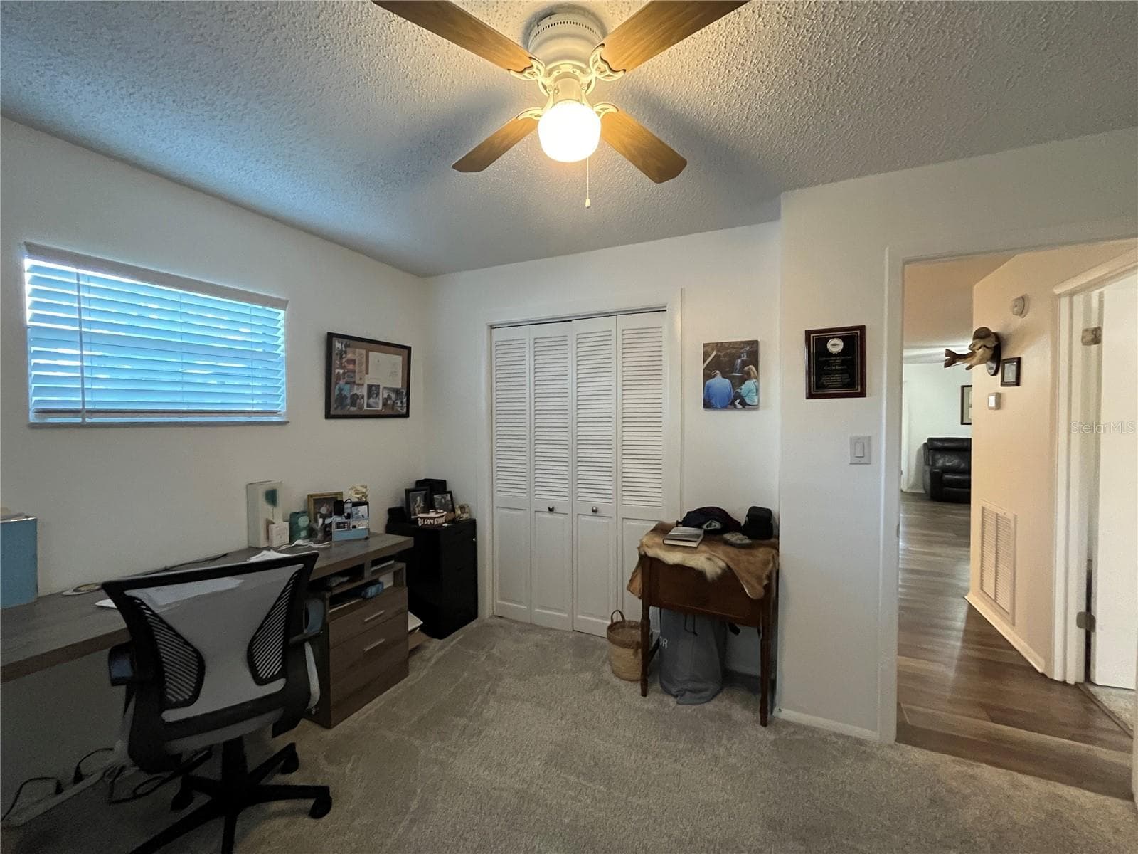Single Family Residence at 407 POINSETTIA AVE, FRUITLAND PARK, photo 19 of 26