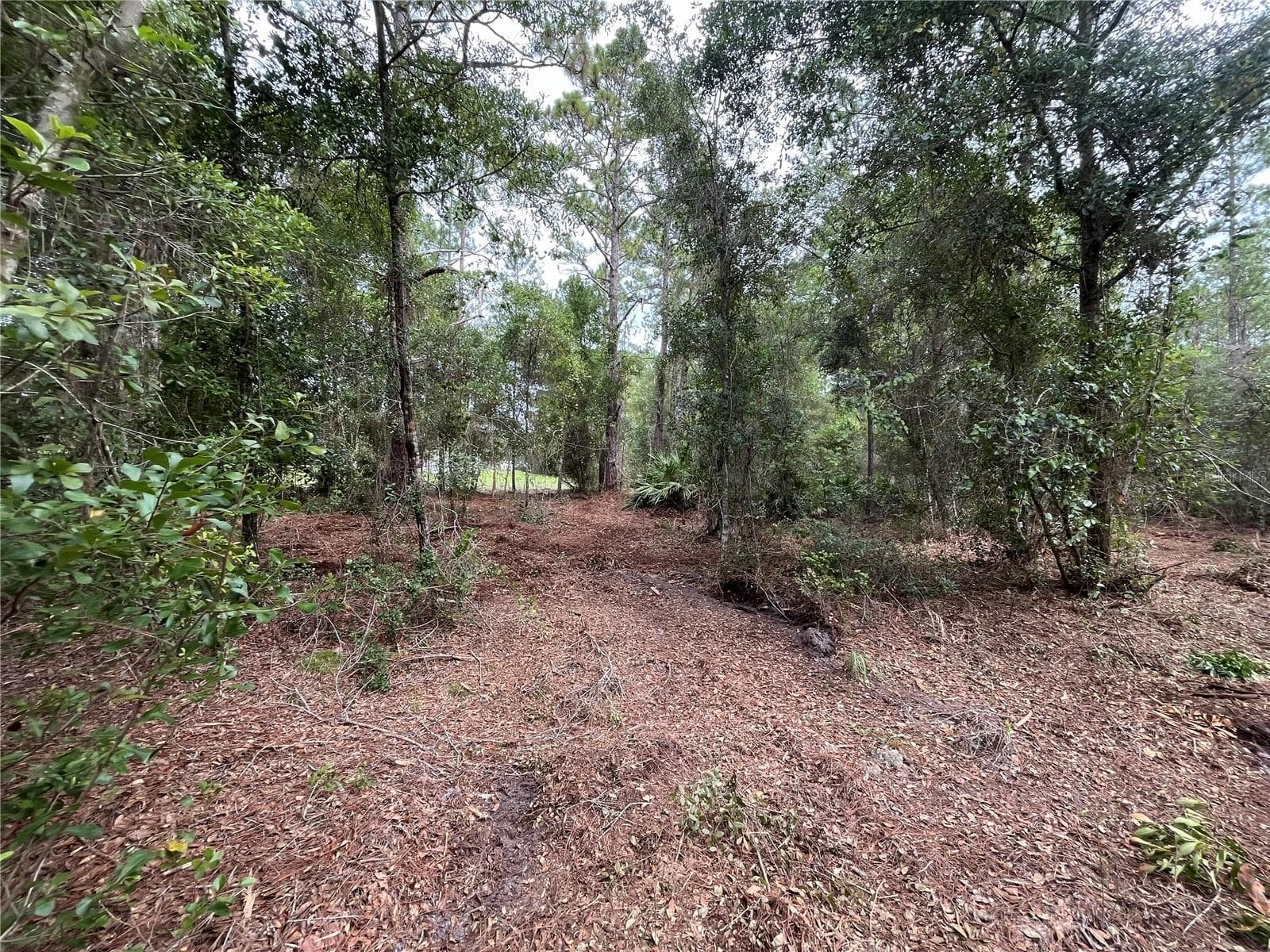 Land at 124 GLENSIDE ST, GEORGETOWN, photo 8 of 10