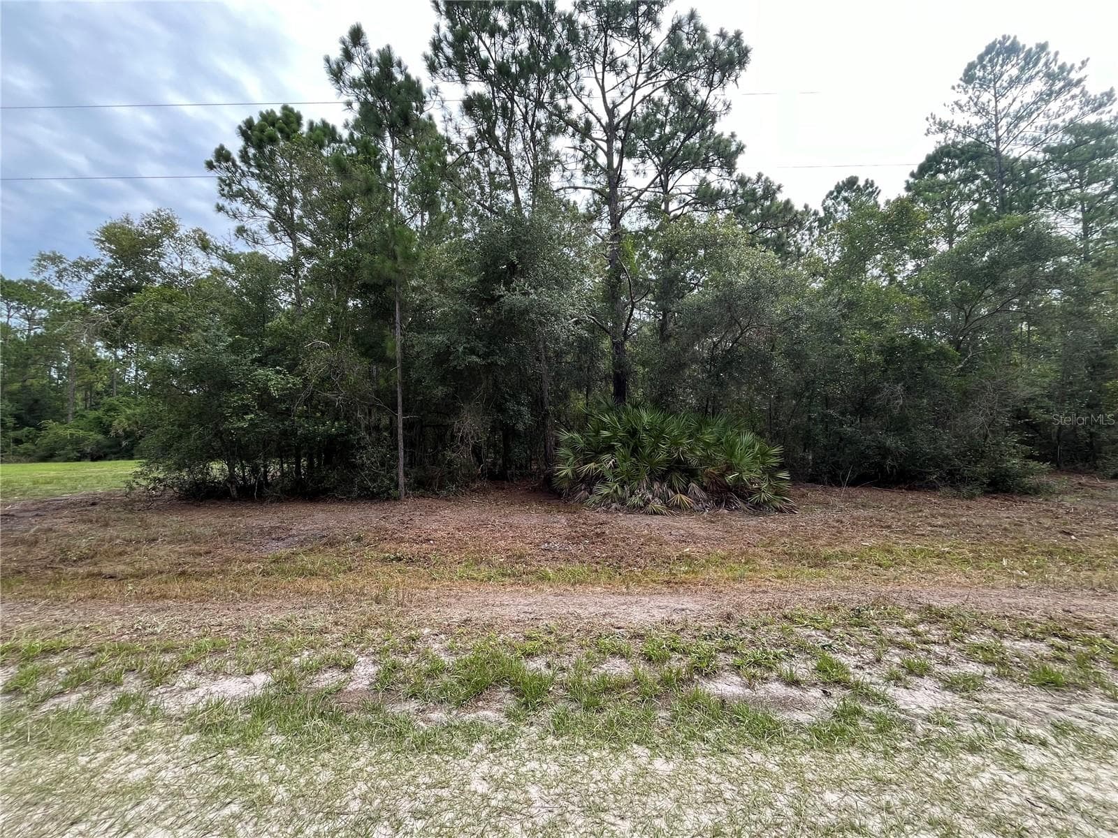 Land at 122 GLENSIDE ST, GEORGETOWN, photo 4 of 10