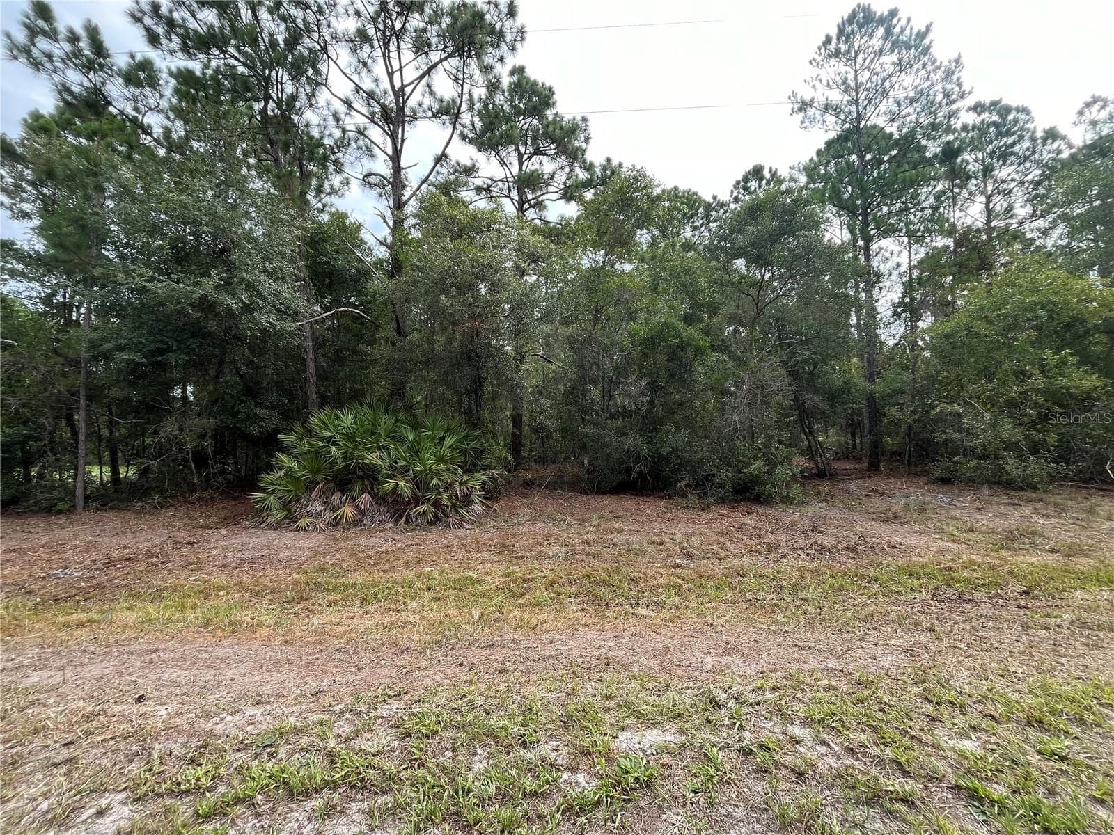 Land at 122 GLENSIDE ST, GEORGETOWN, photo 6 of 10