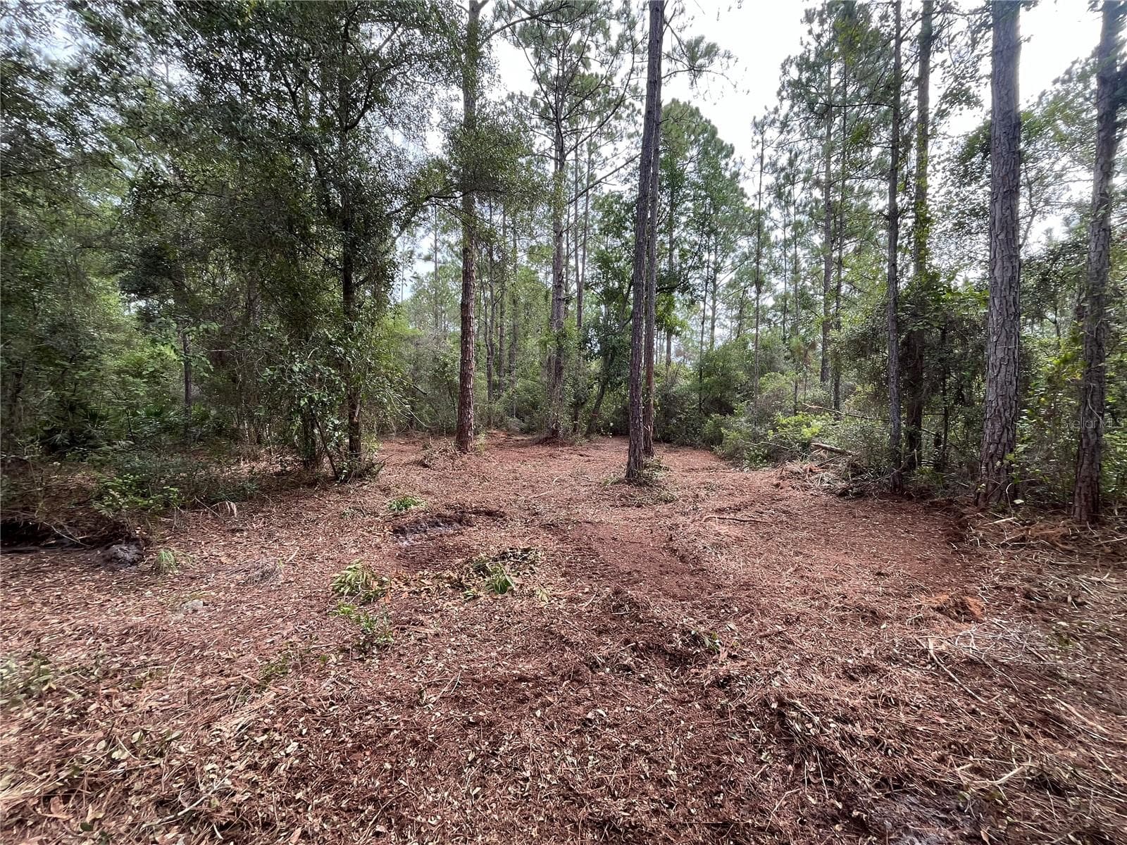 Land at 122 GLENSIDE ST, GEORGETOWN, photo 8 of 10