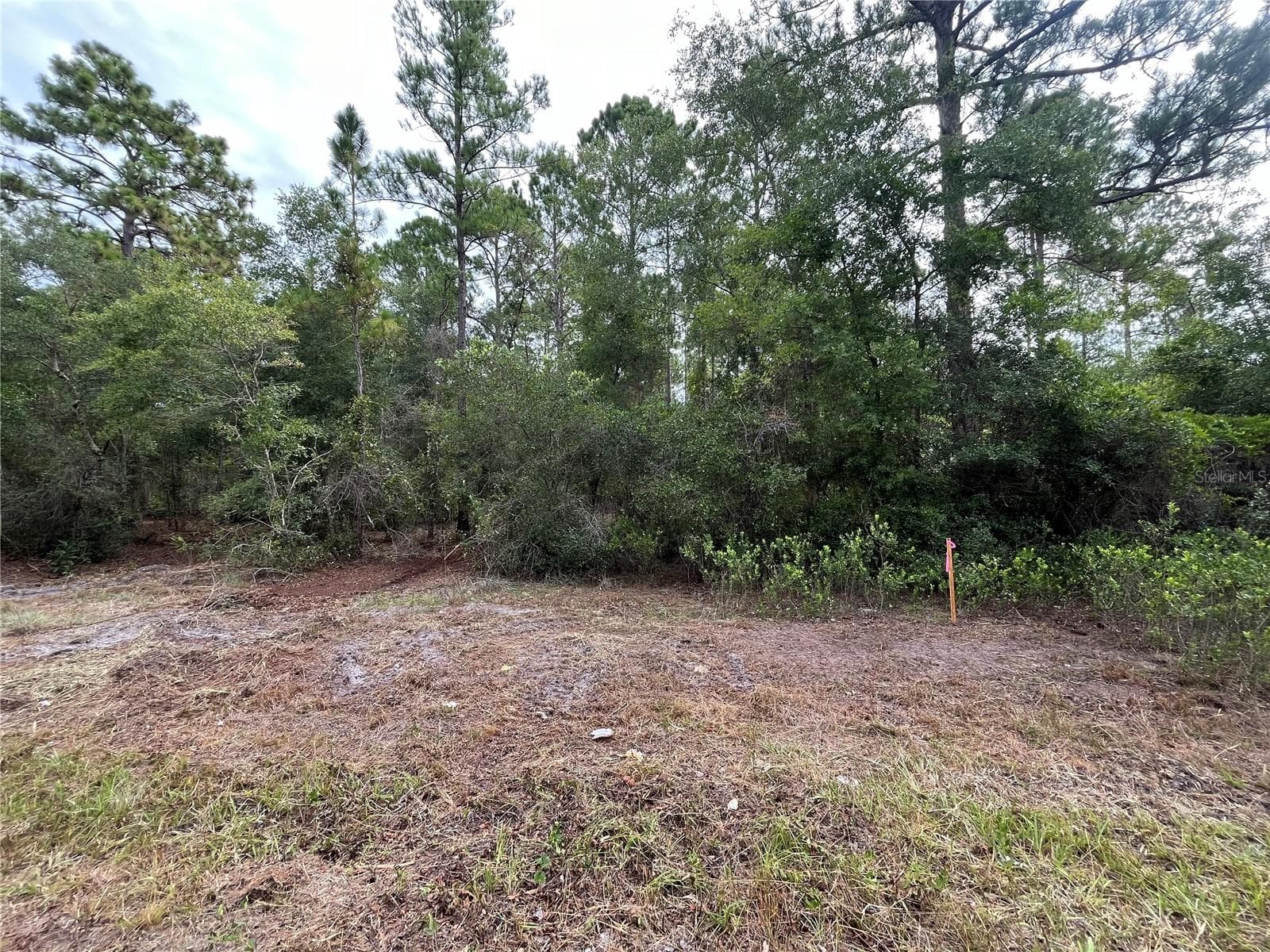 Land at 122 GLENSIDE ST, GEORGETOWN, photo 9 of 10