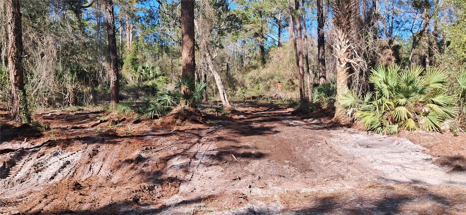 Land at 120 GARDENIA AVE, GEORGETOWN, photo 2 of 7