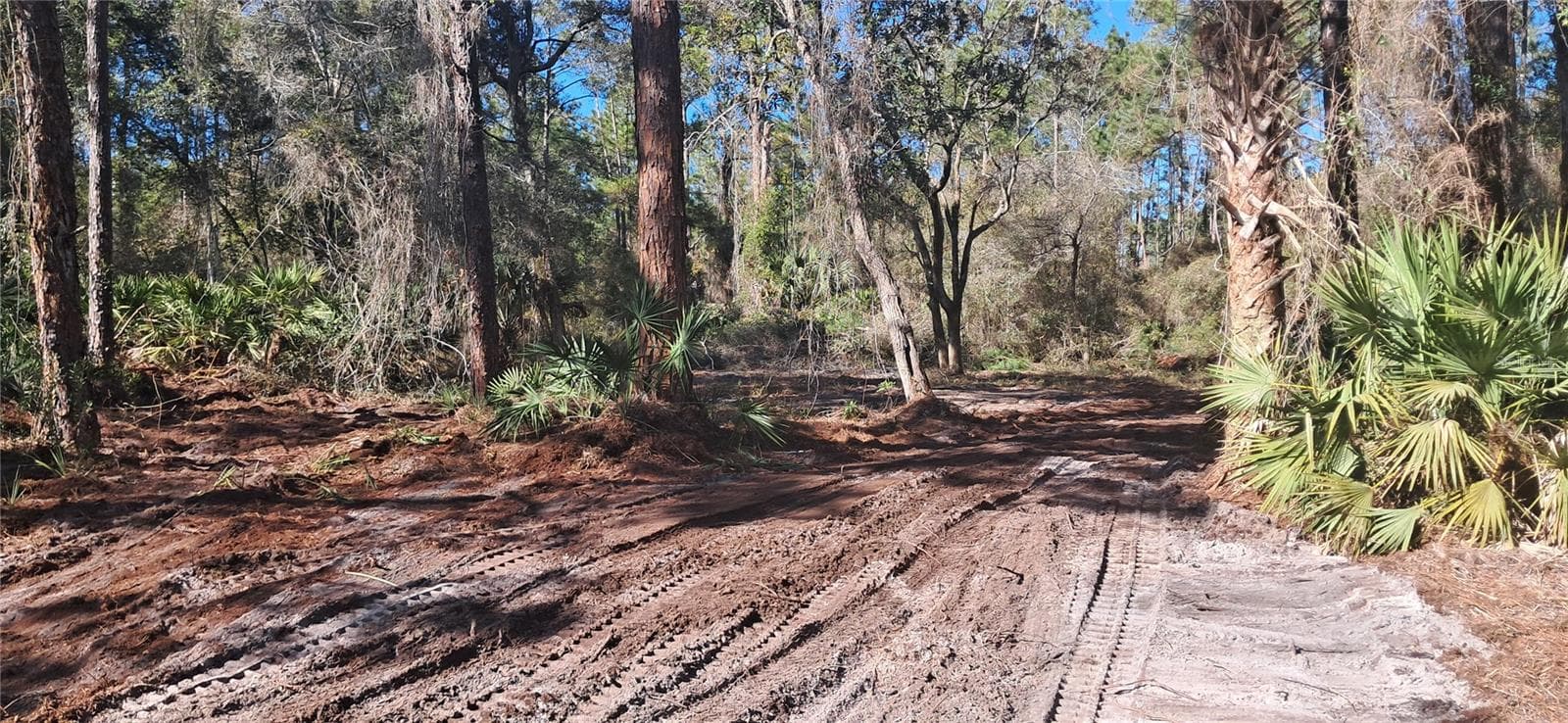 Land at 120 GARDENIA AVE, GEORGETOWN, photo 3 of 7
