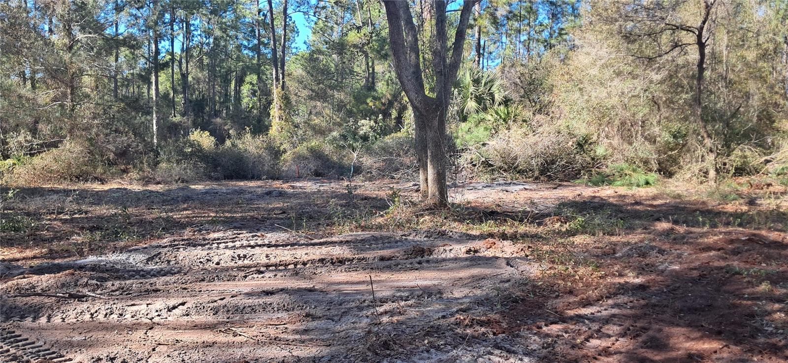 Land at 120 GARDENIA AVE, GEORGETOWN, photo 4 of 7