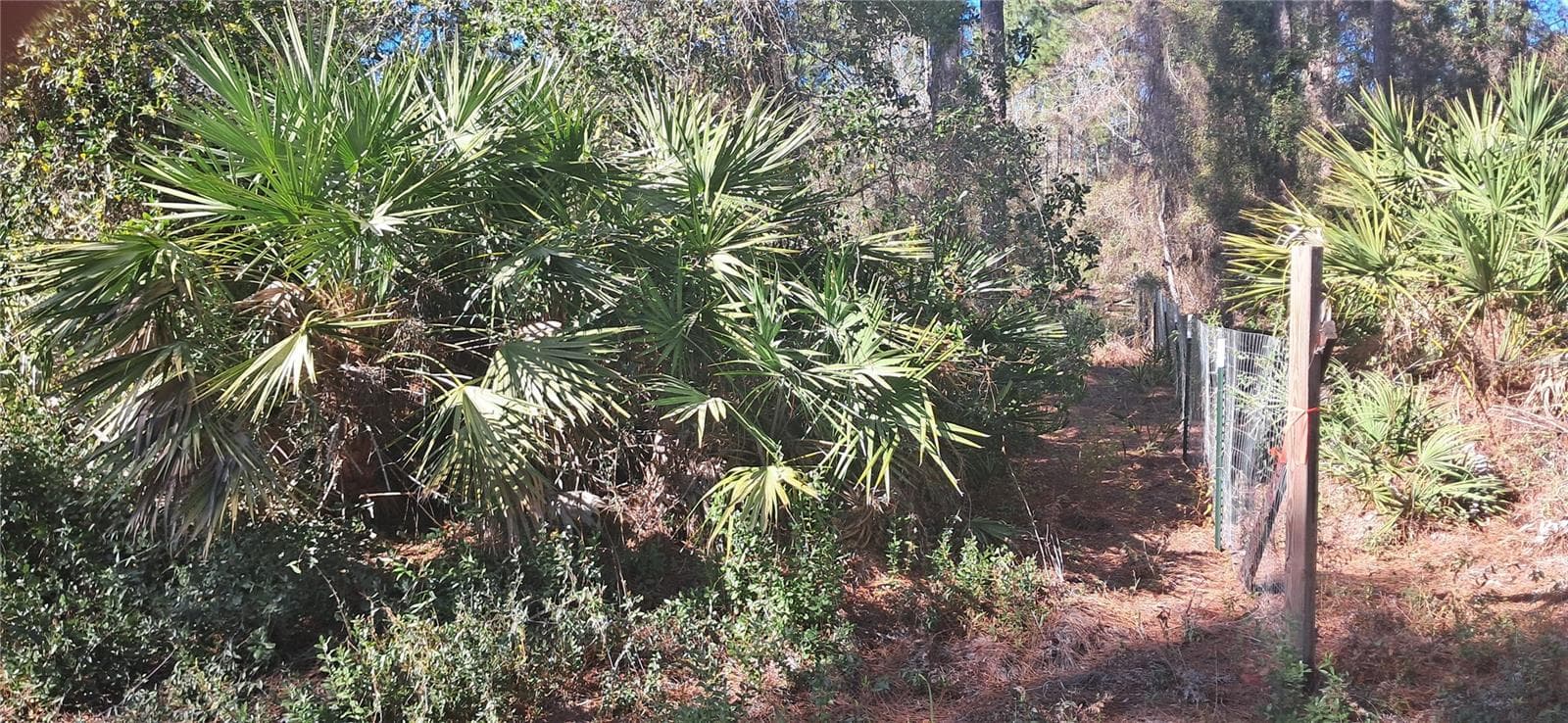 Land at 120 GARDENIA AVE, GEORGETOWN, photo 5 of 7