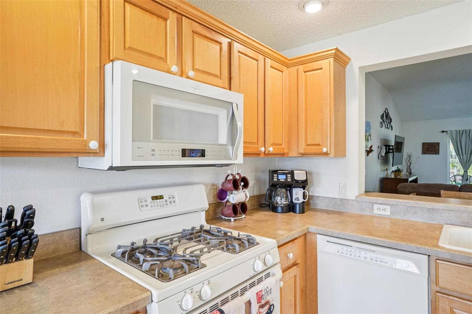 Single Family Residence at 16596 SE 77TH NORTHRIDGE CT, THE VILLAGES, photo 20 of 45