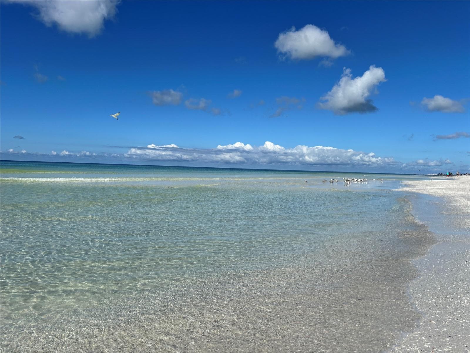 Siesta Key is approximately 2 miles away! - 5476 SWIFT RD #19, SARASOTA