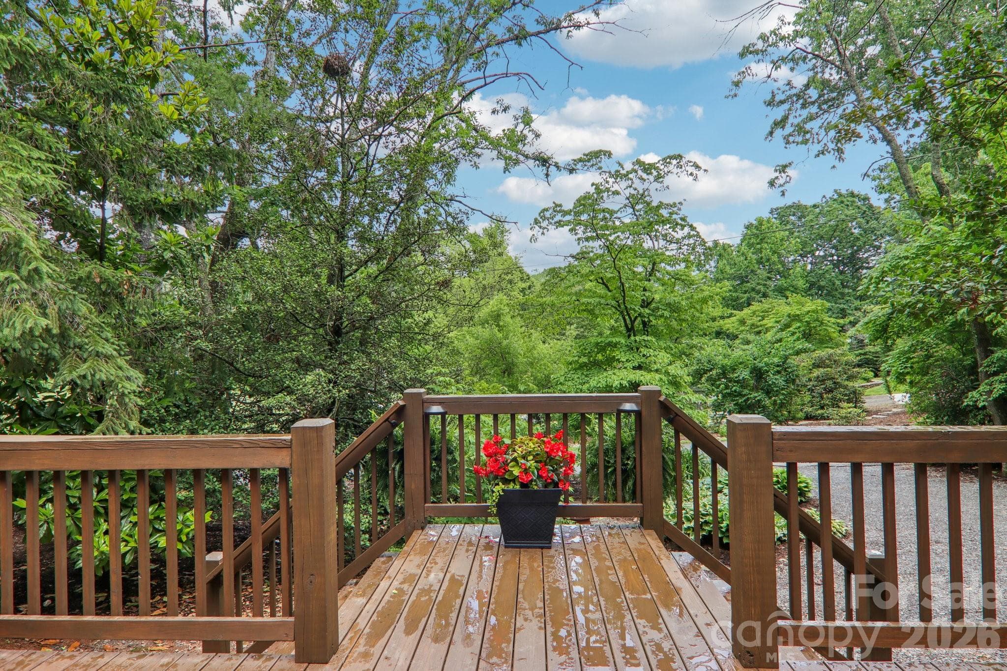 Spacious Front Porch - Black Mountain