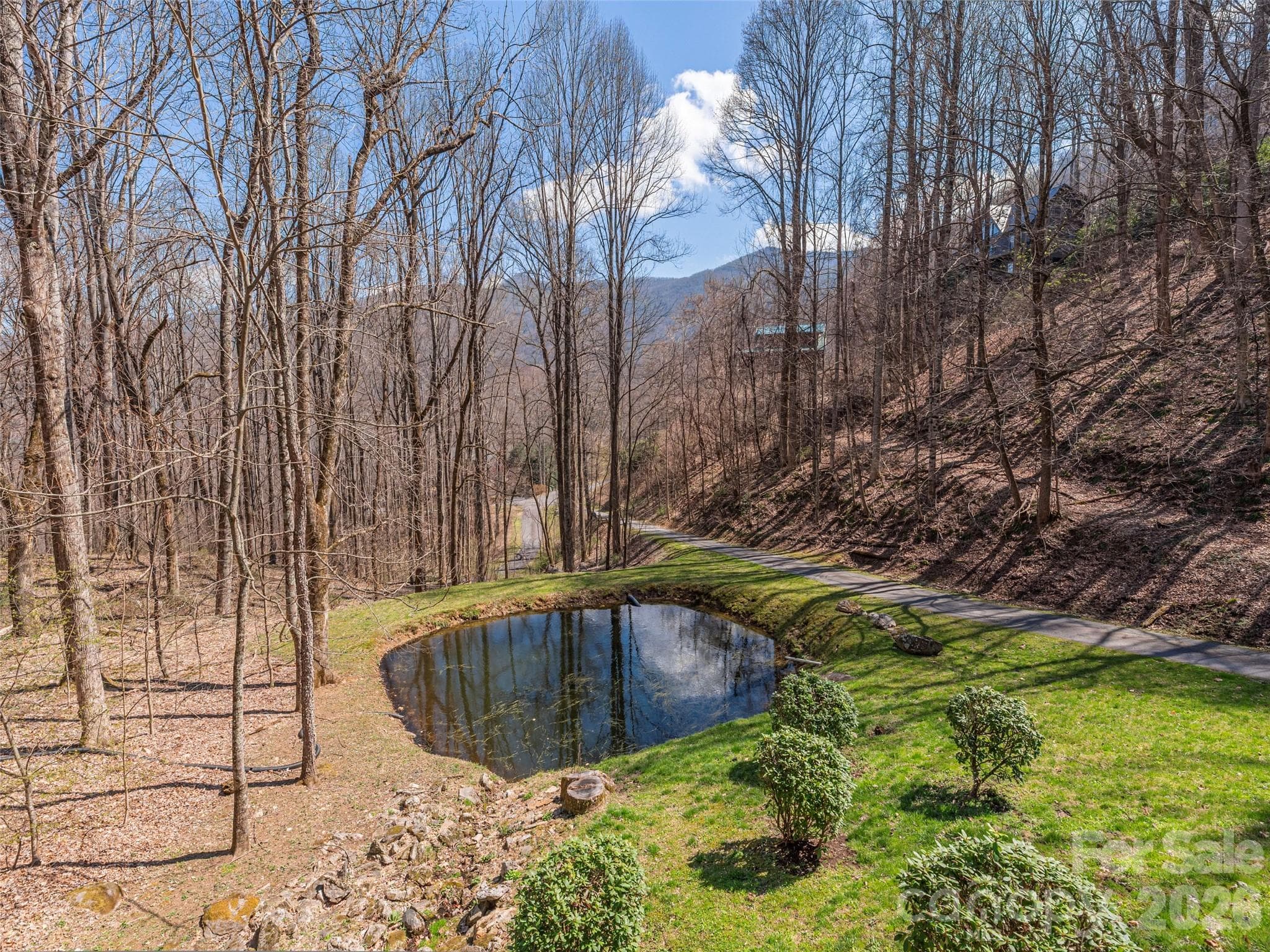 Single Family Residence at 90 Lionheart Lane, Maggie Valley, photo 7 of 33