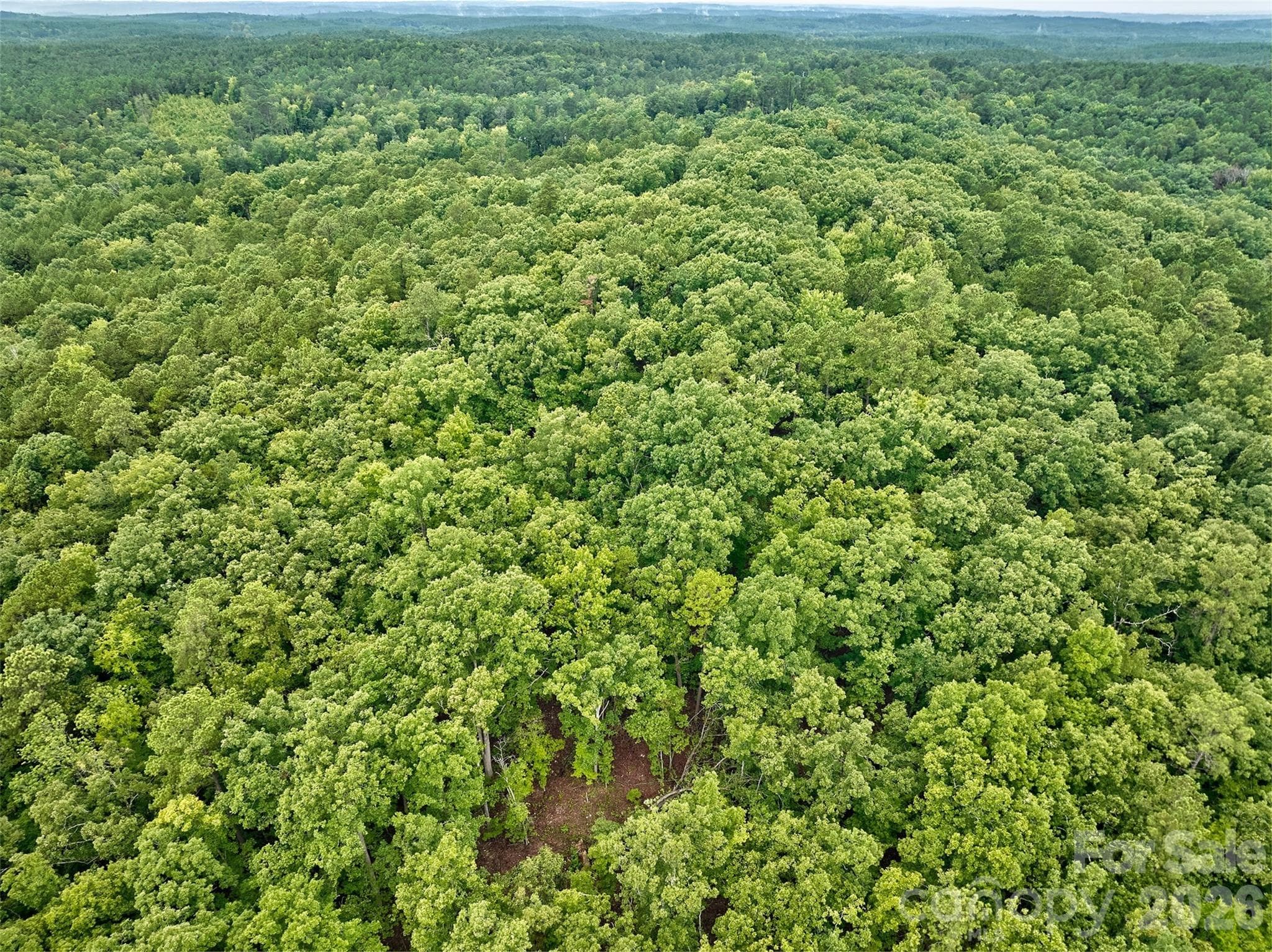 Acreage at 21 US Highway 21 Highway, Ridgeway, photo 7 of 23
