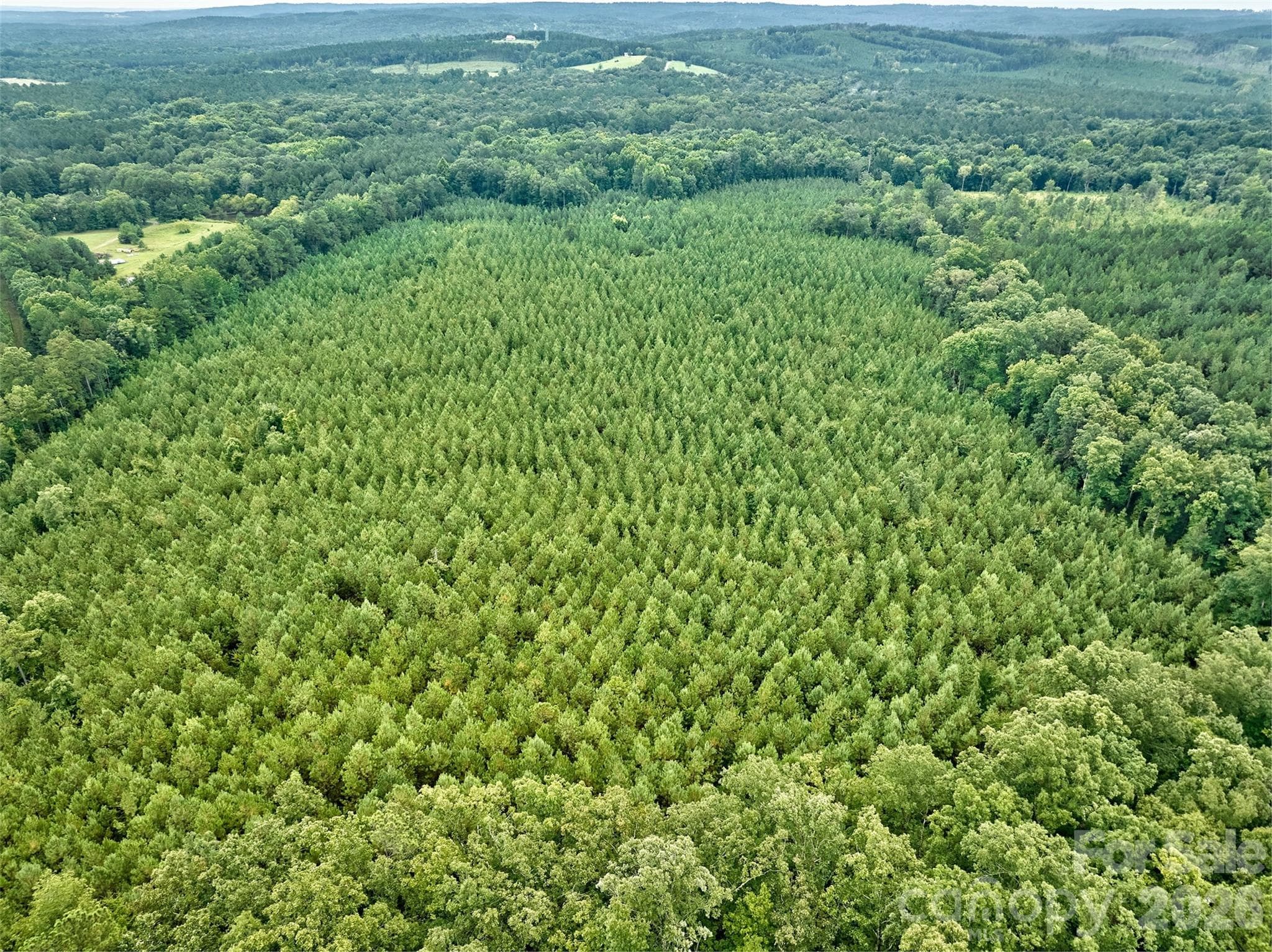Acreage at 21 US Highway 21 Highway, Ridgeway, photo 8 of 23