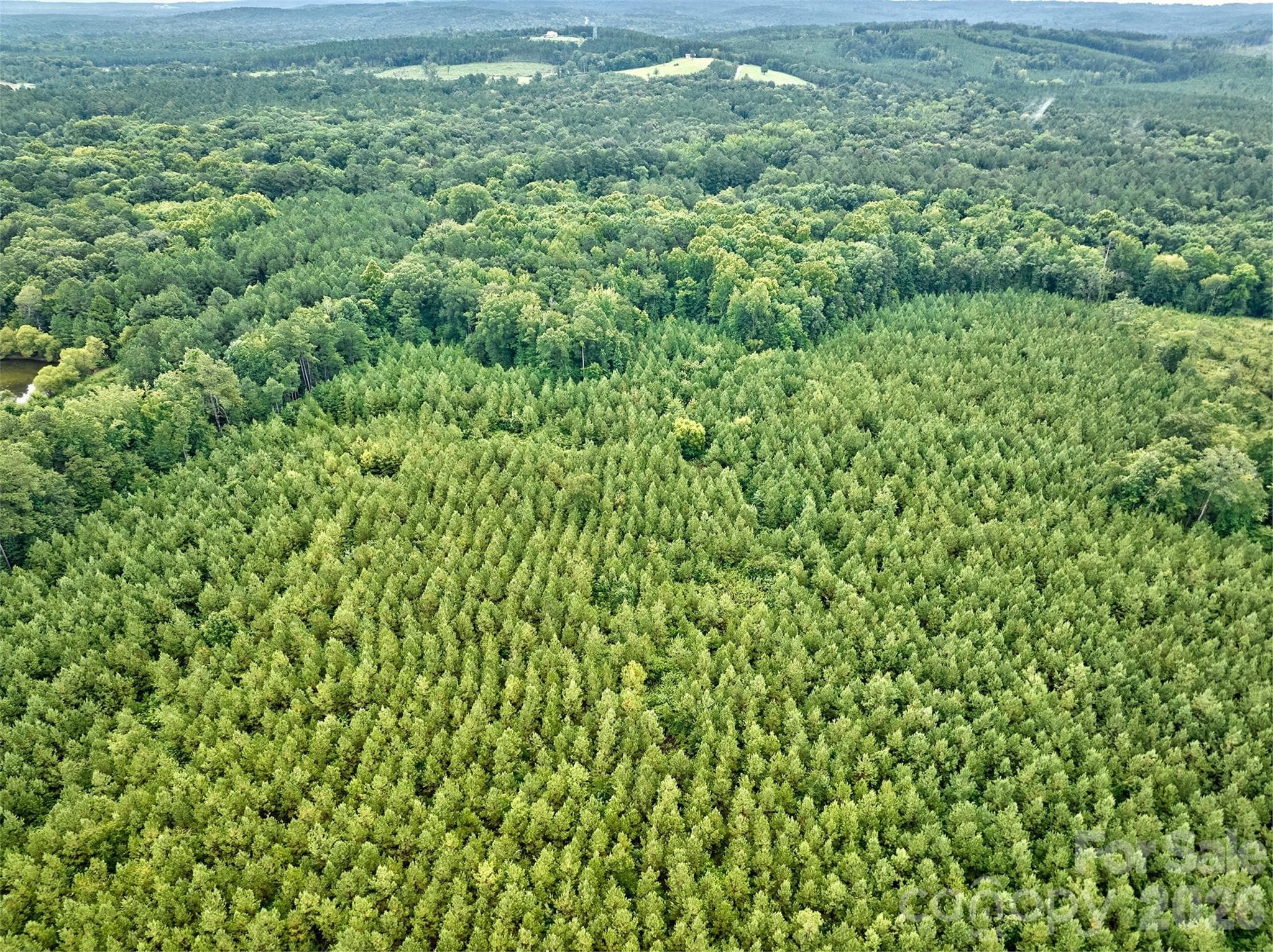 Acreage at 21 US Highway 21 Highway, Ridgeway, photo 9 of 23