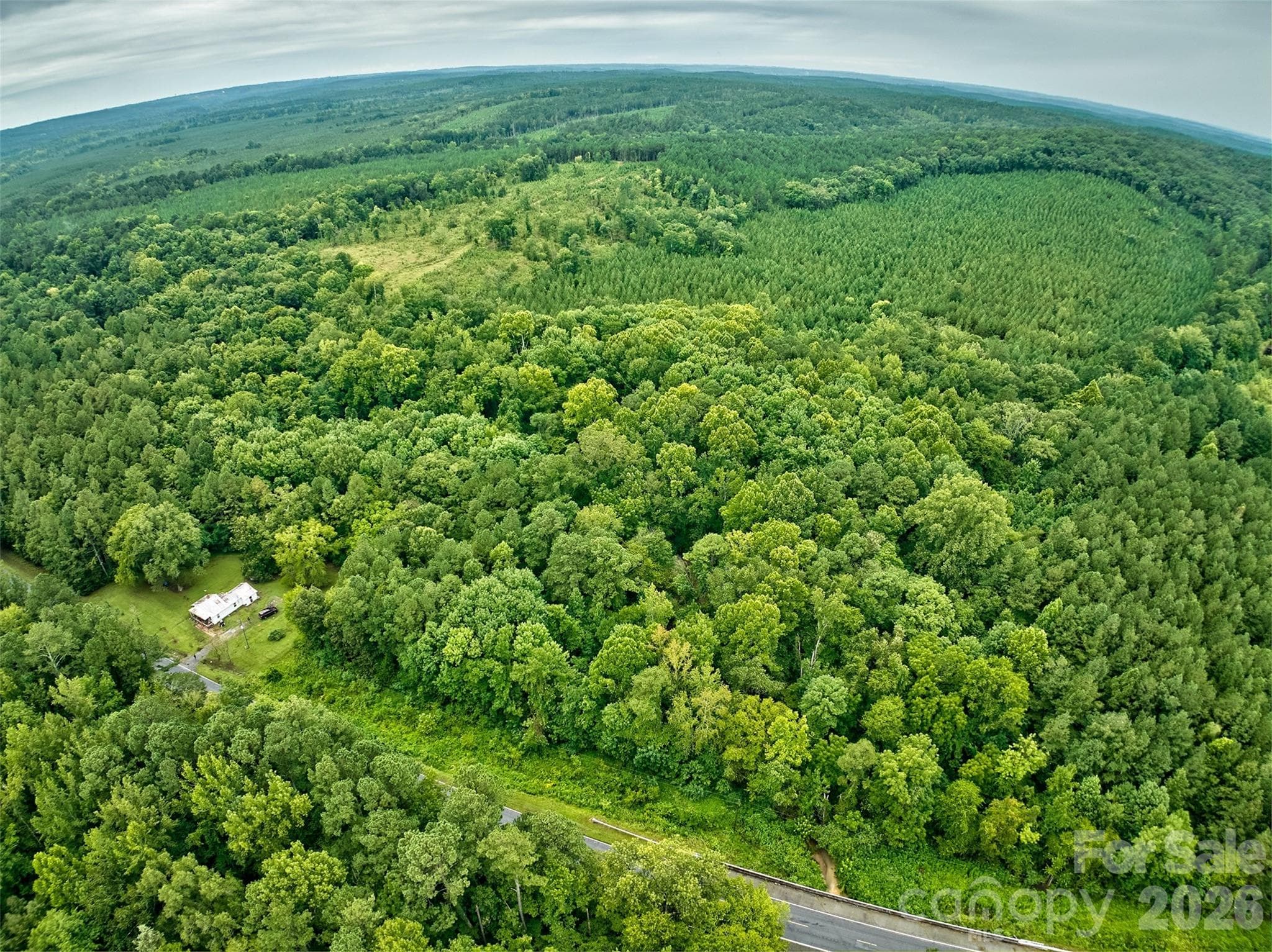 Acreage at 21 US Highway 21 Highway, Ridgeway, photo 14 of 23