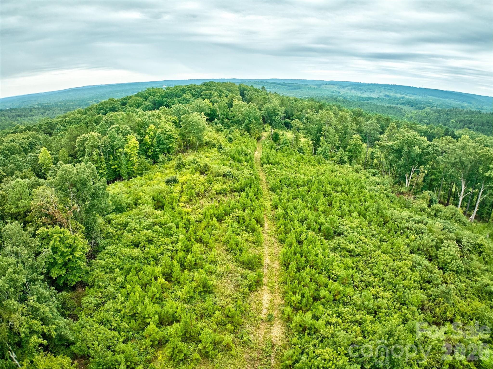 Acreage at 21 US Highway 21 Highway, Ridgeway, photo 17 of 23